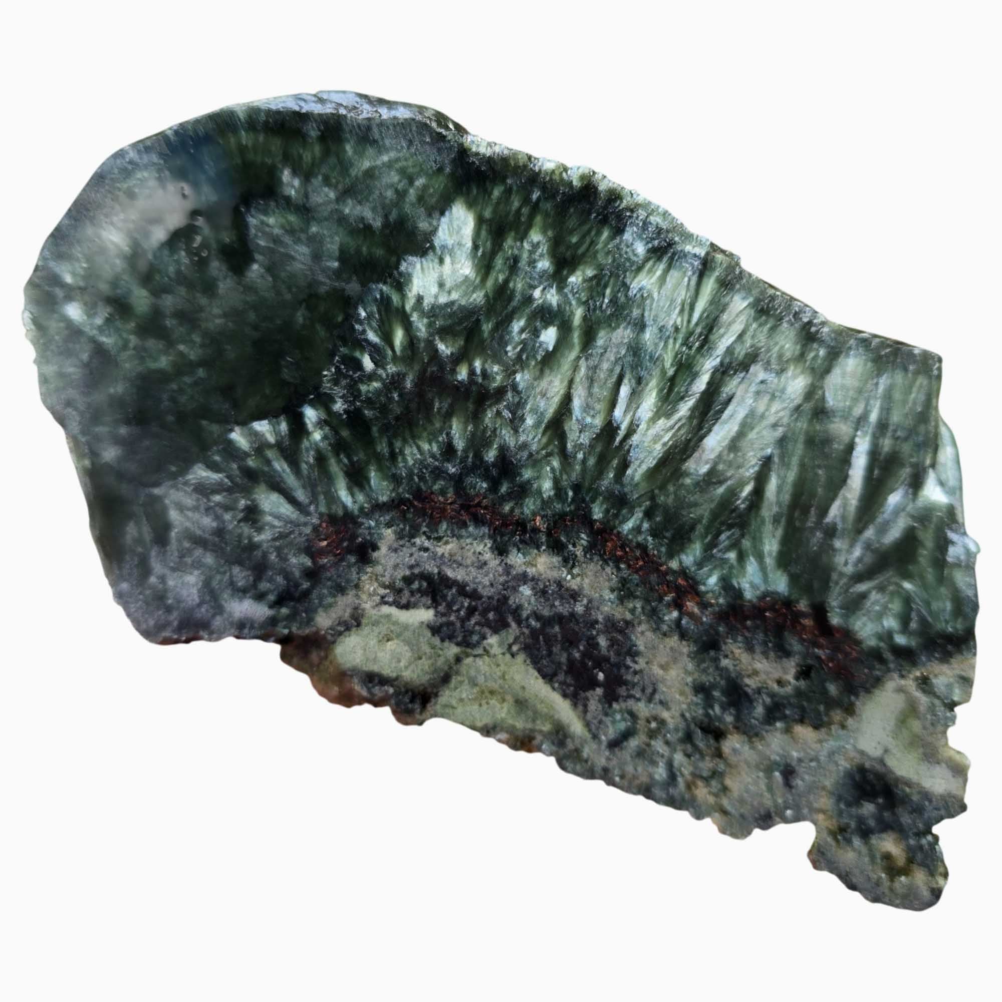 Seraphinite Slab - Feathery Chatoyant Pattern Green Chlorite from Siberia