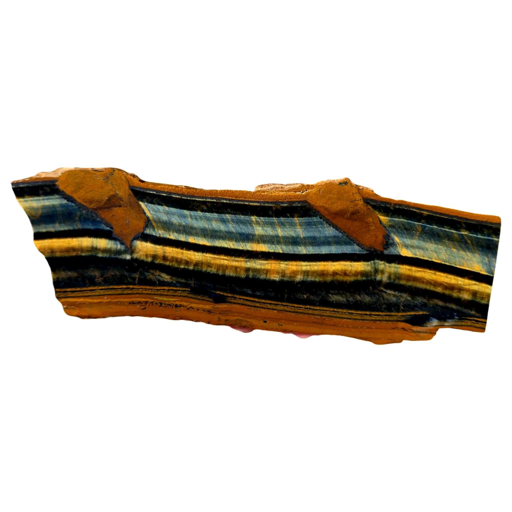 Hawkeye Tiger Eye Slab – Blue Chatoyant Flash with Golden Band Contrast