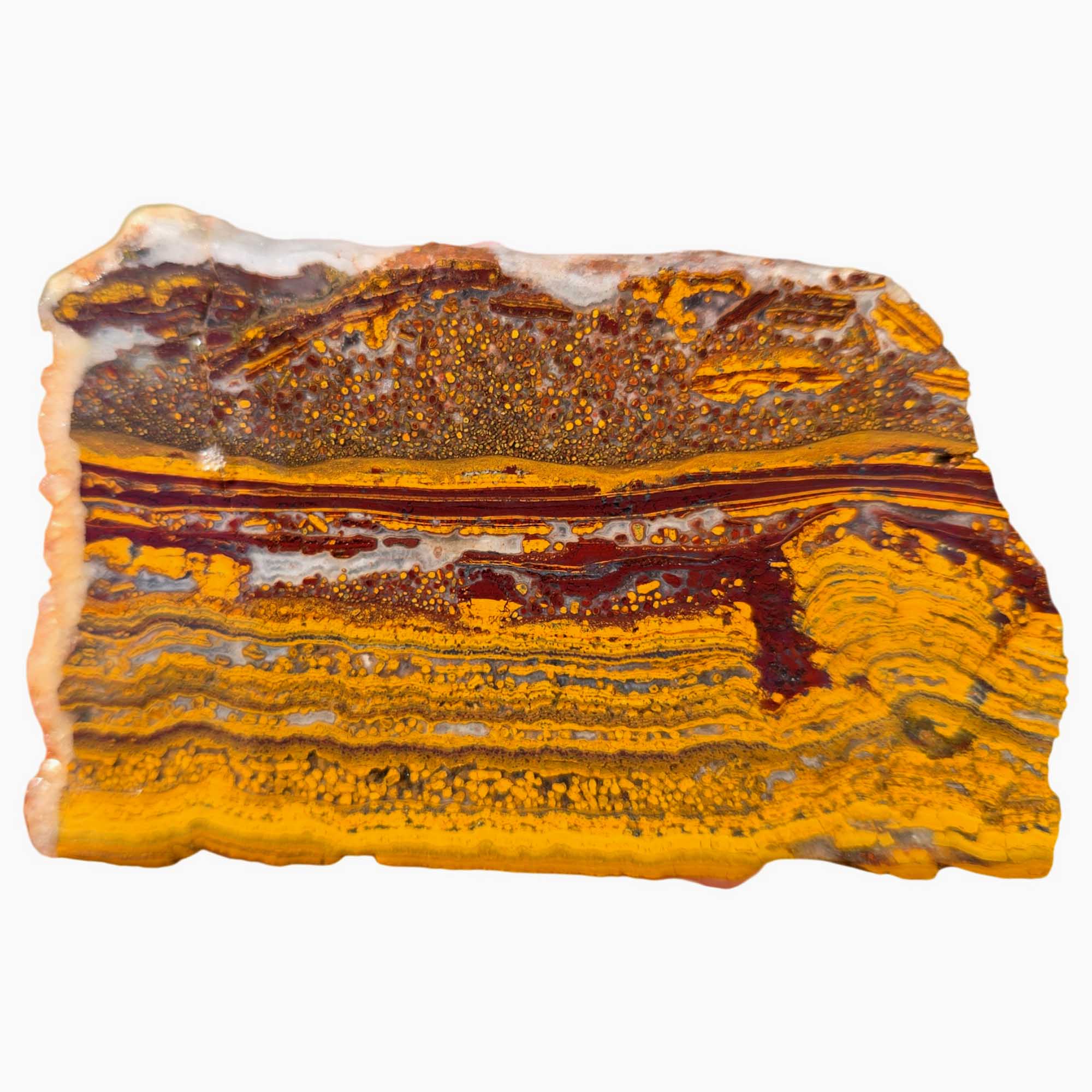 Apple Valley Jasper Slab – Gold Red Oolitic Pattern – Sahara Stromatolite
