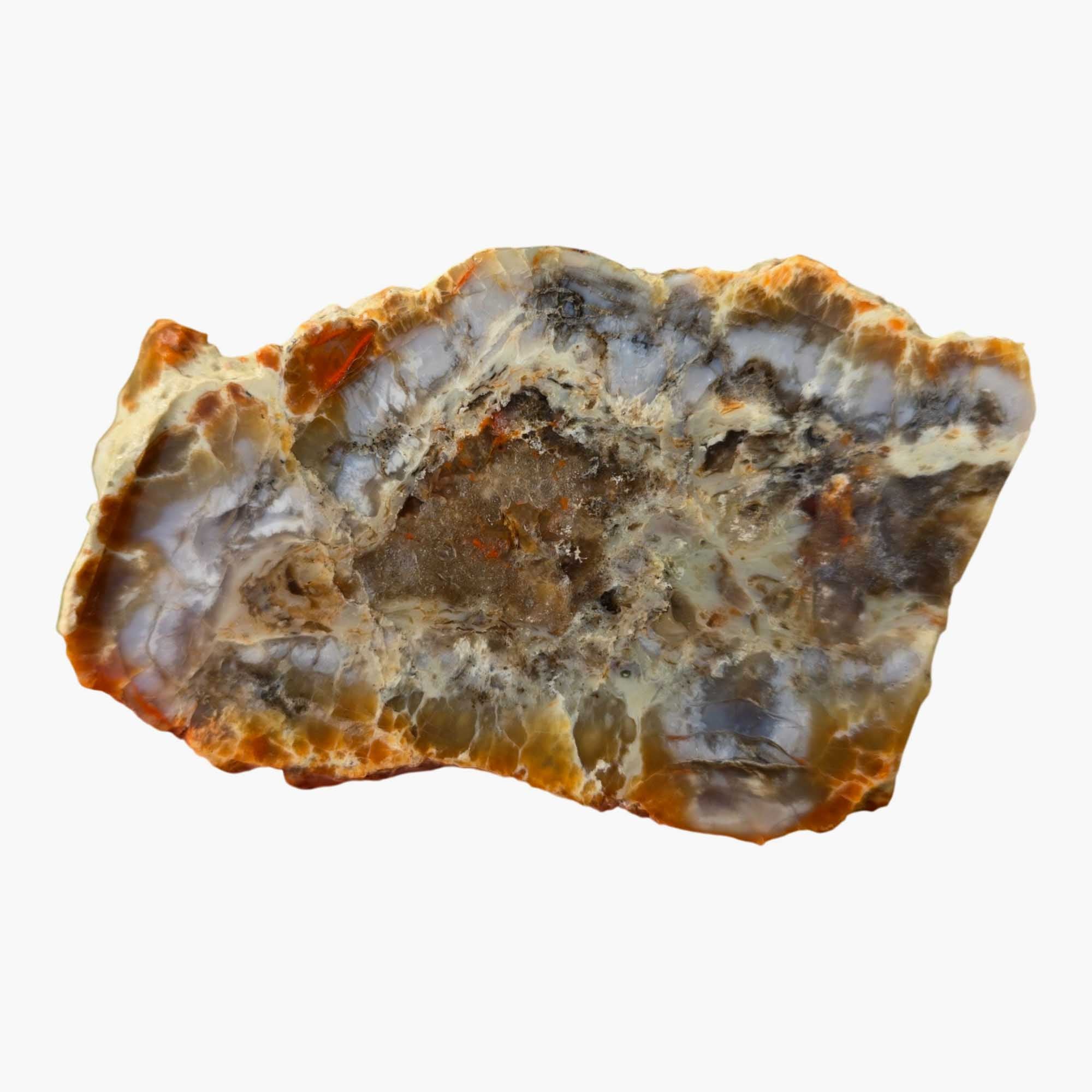 Coprolite Stone Slab - Classic Utah Pattern Feldspar Flash! #3665-Photo1