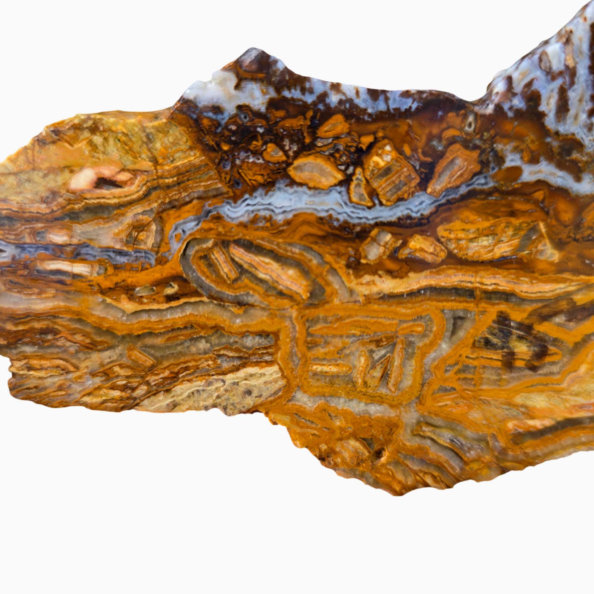 Lysite Agate Slab - Brecciated Blue Wyoming Feldspar Sparkle #3669-Photo1