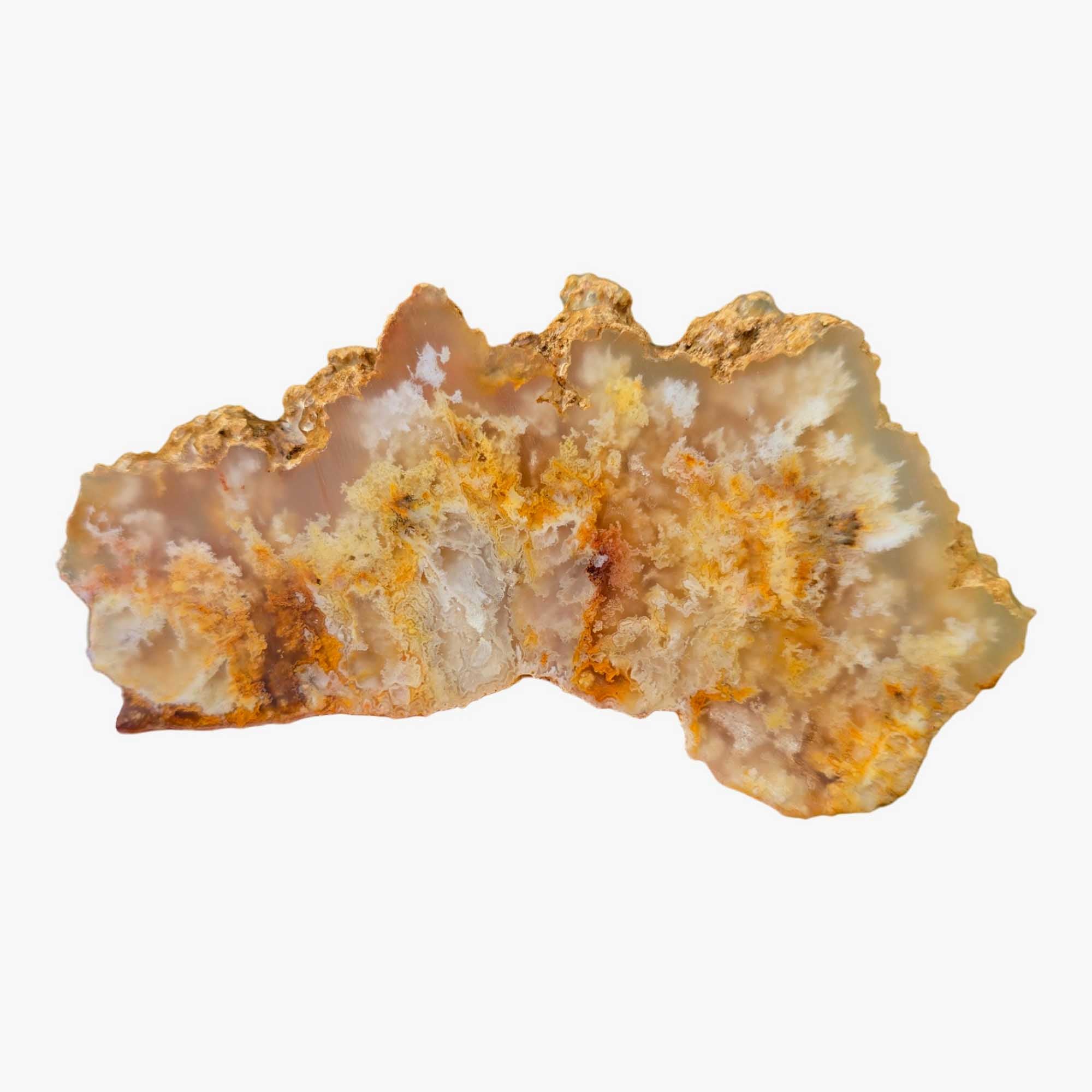 Regency Rose Plume Agate Slab – White Wispy Pointed Structures! #3672-Photo2