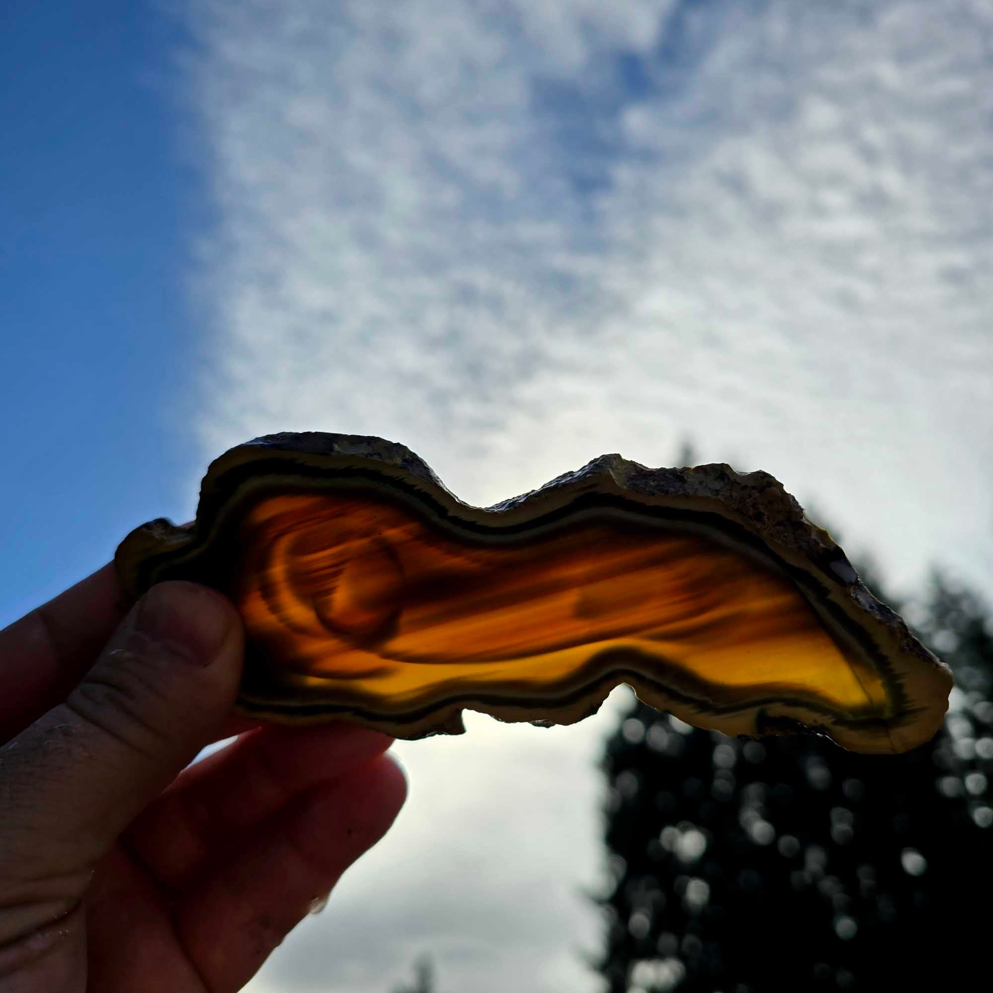 Royal Imperial Jasper Slab - Dodo Bird Scene Backlit Translucent #3677-Photo2