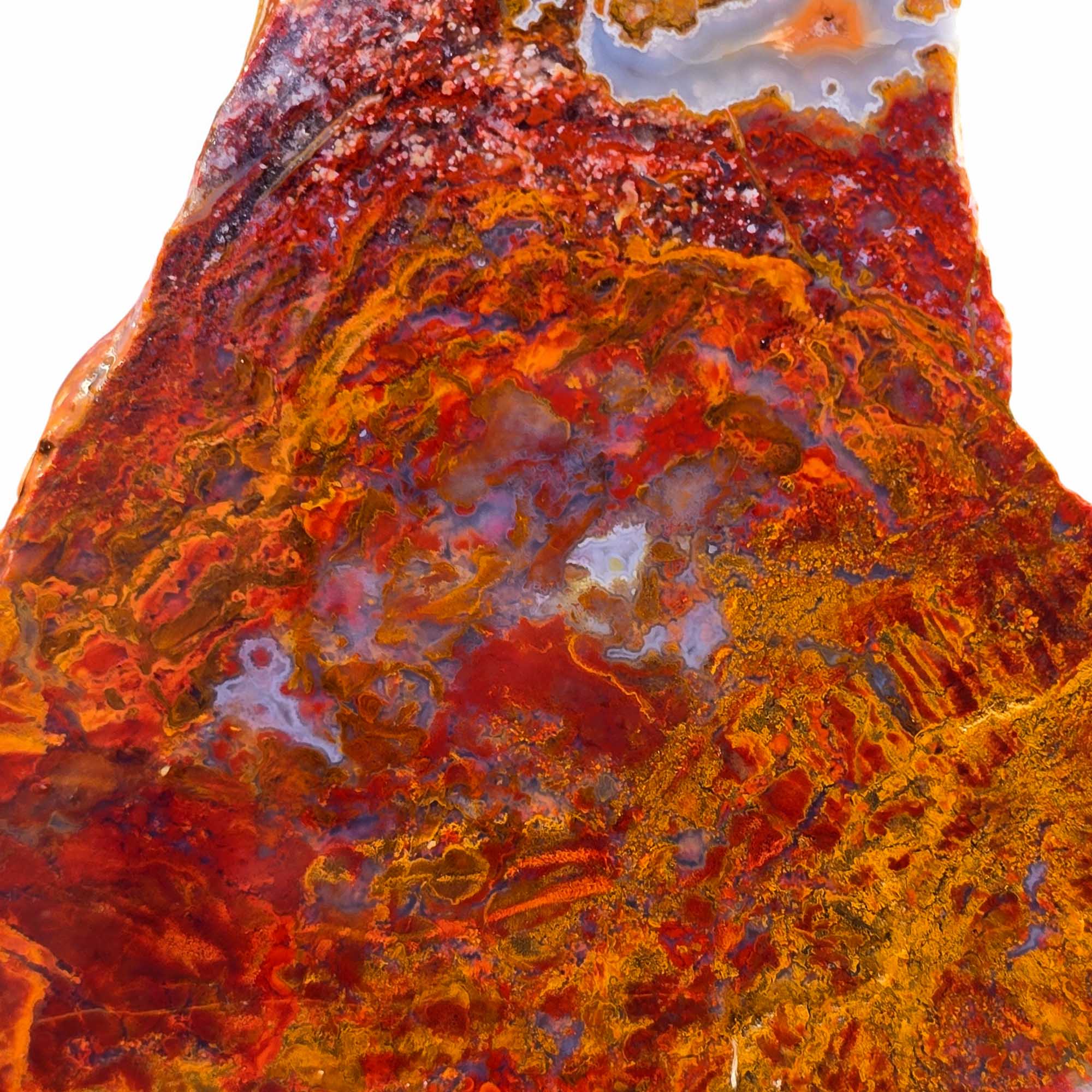 San Carlos Agate Slab – Bright Red Moss Blue Druzy Mexico #3681-Photo1