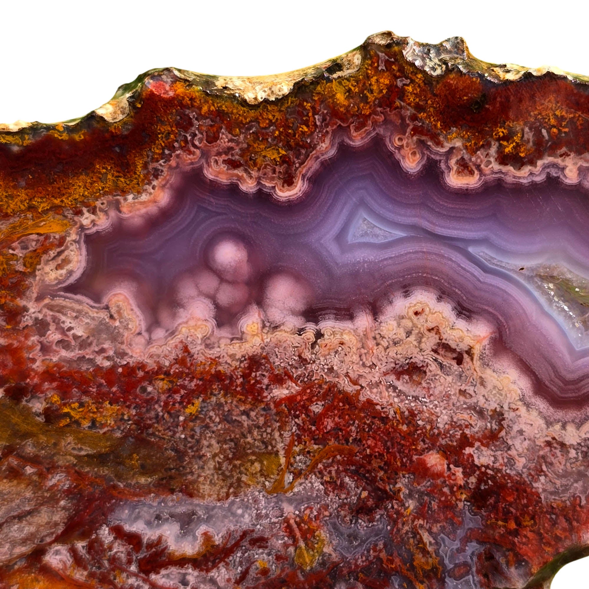 Agua Nueva Agate Slab Purple Passion Golden Yellow Fortification #3721-Photo1