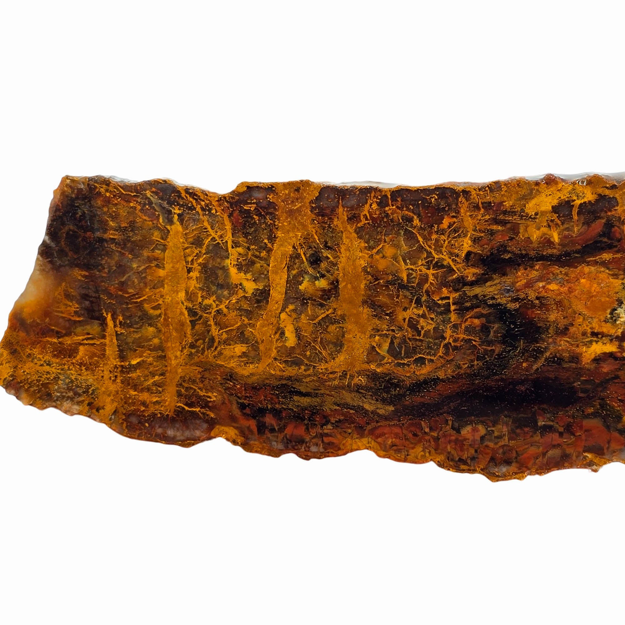 Madagascar Petrified Wood Slab – Plasma Lightning Pattern Triassic #3853-Photo1