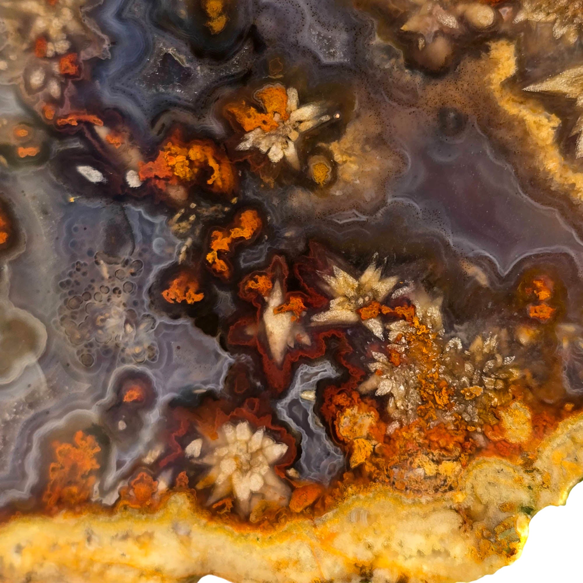 San Carlos Agate Slab - Blue Tube Inclusions - Wispy Star Snowflakes