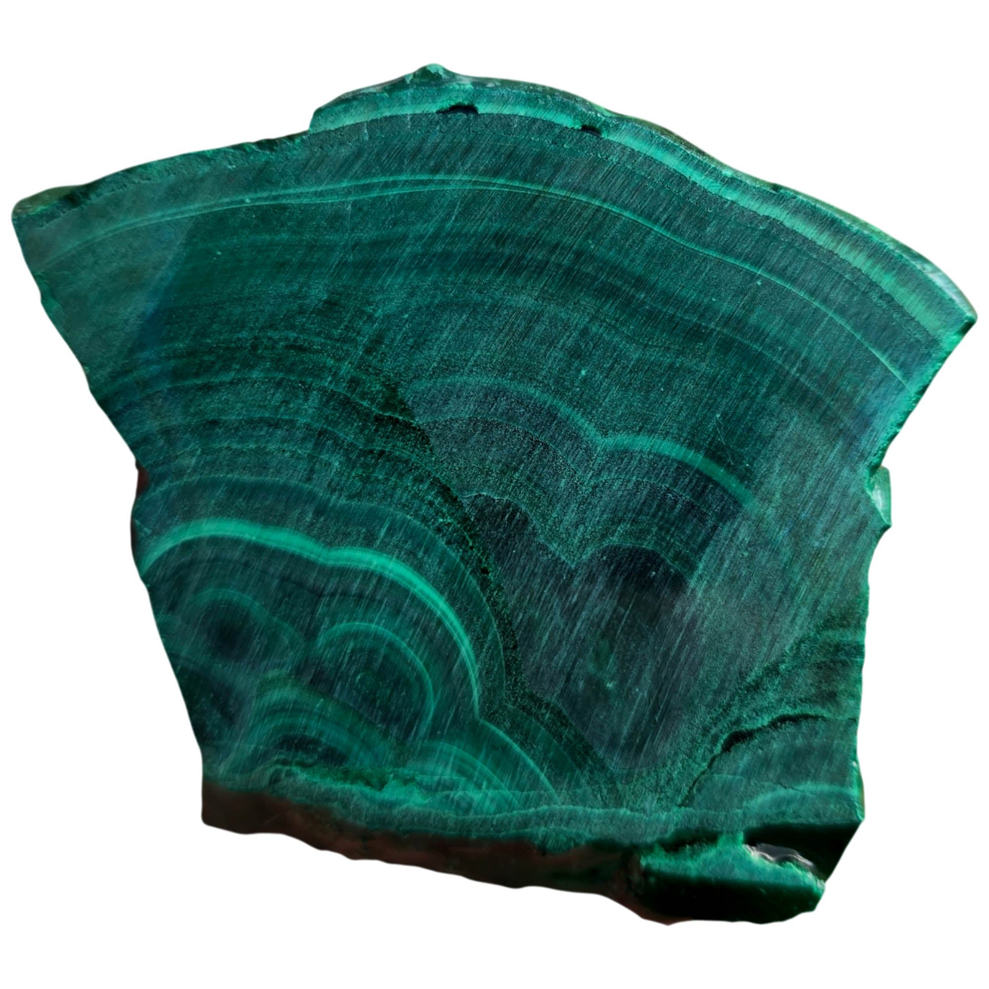 Malachite Slab - Green Lace Pattern Chatoyant Flowering Wet #3725-Photo1