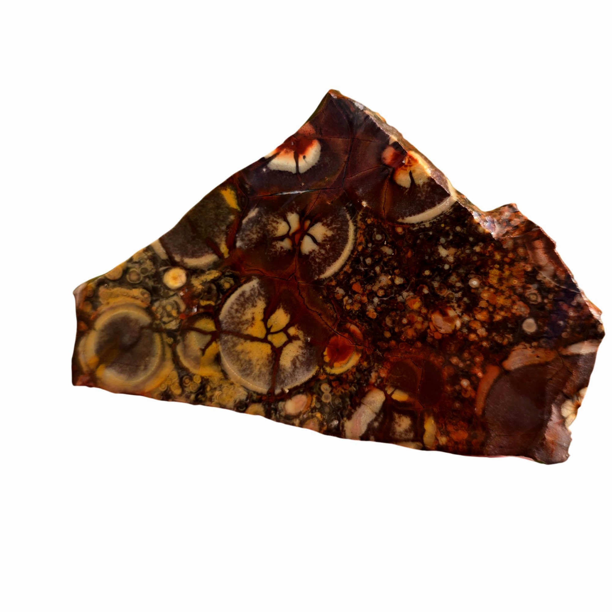 Birdseye Rhyolite Slab - Purple Orbicular Eyes Mexican Old Stock #3728-Photo1