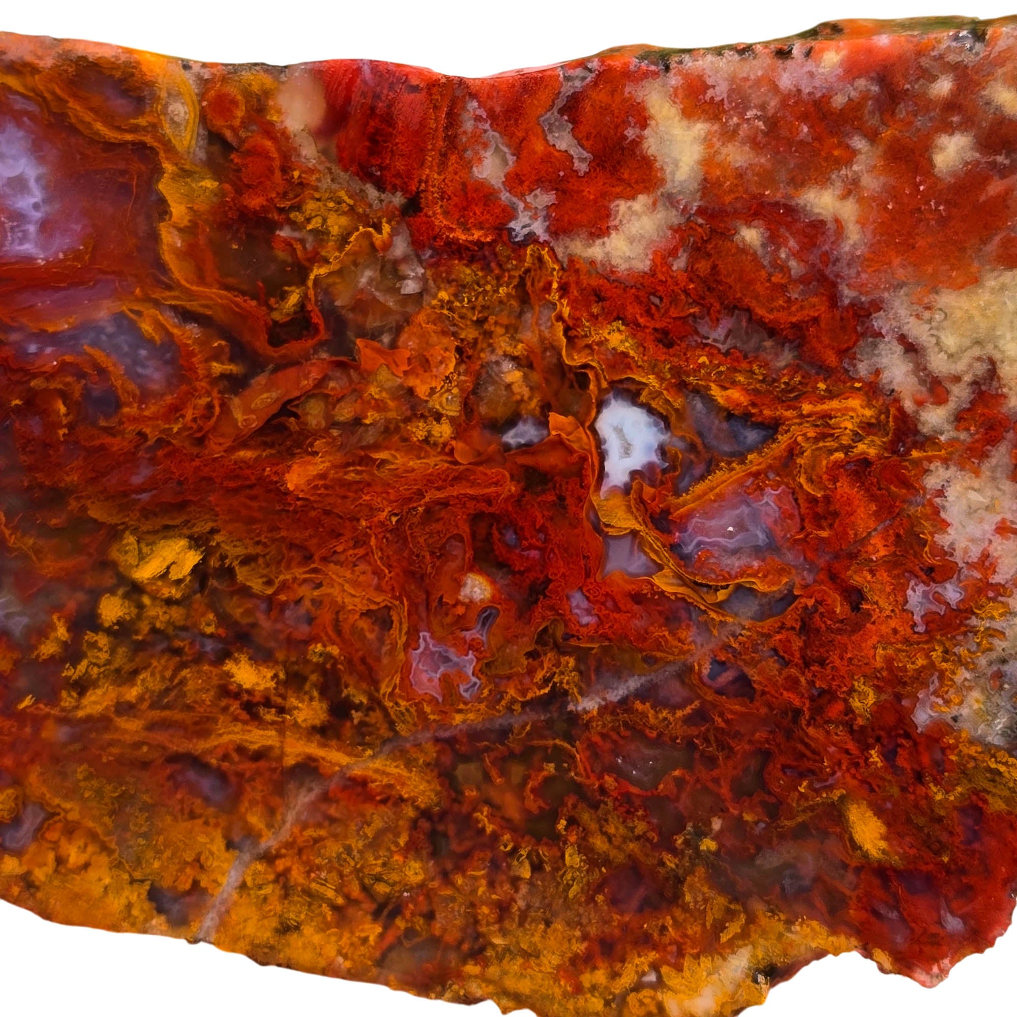 San Carlos Agate Slab – Bright Red Moss Blue Inclusions #3735-Photo2