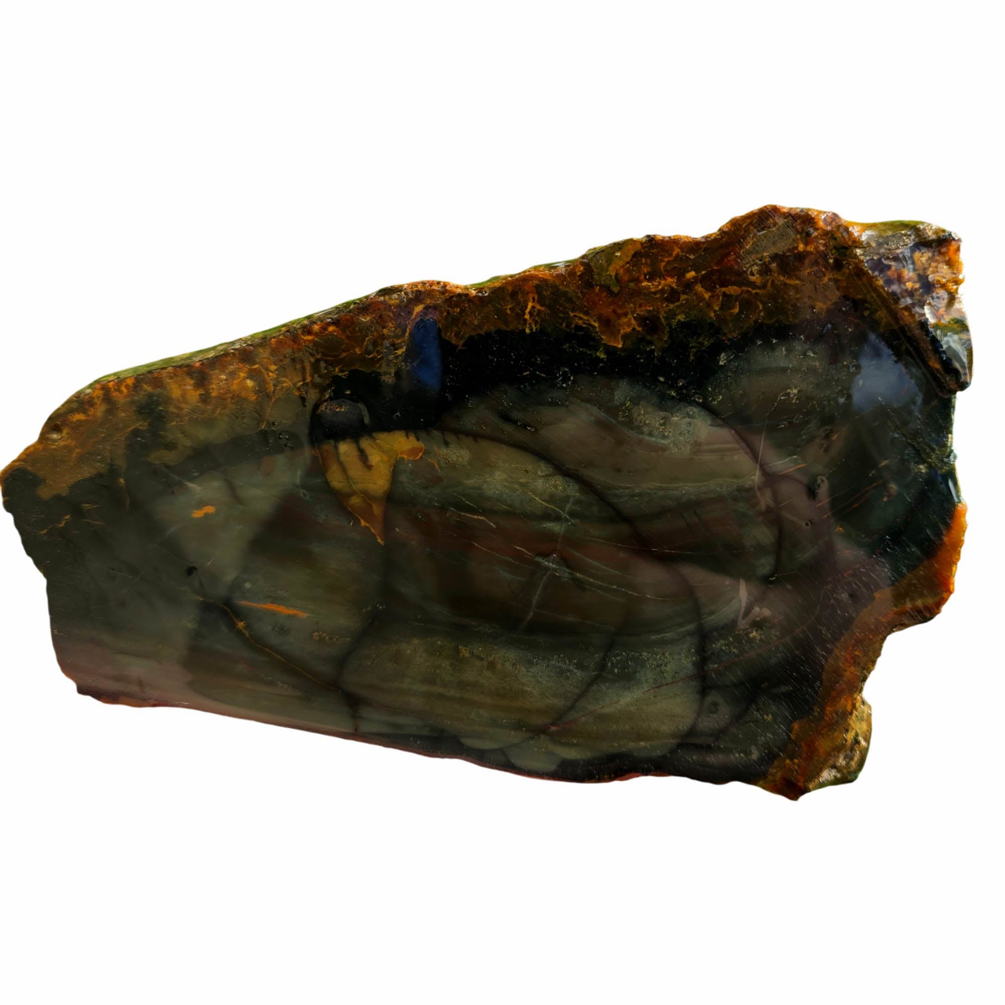 Blue Mountain Jasper Slab – Dark Green Orbs Oregon Classic #3739-Photo1