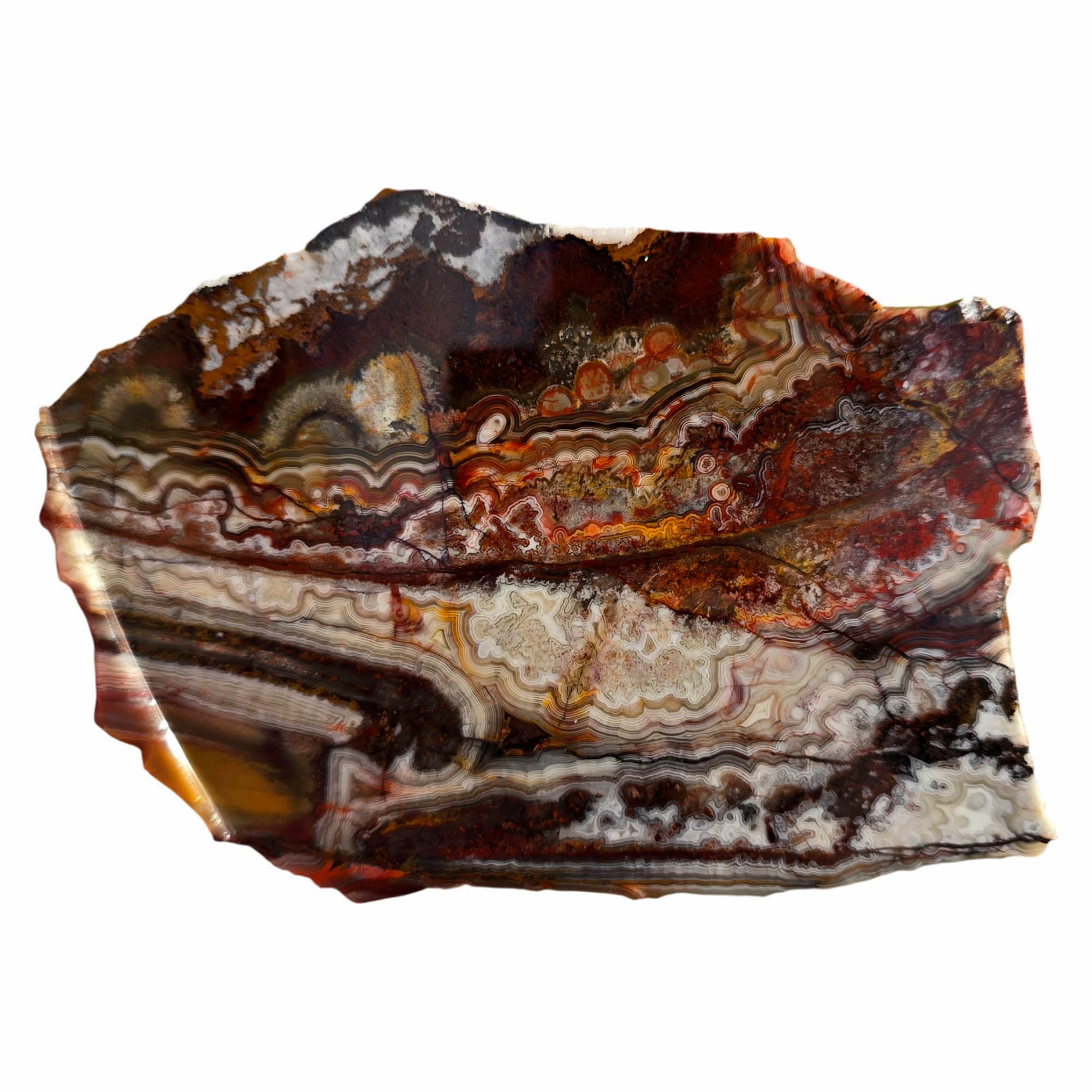 Crazy Lace Agate Slab - Bright Laguna Colors Fireworks Mexico #3742-Photo1