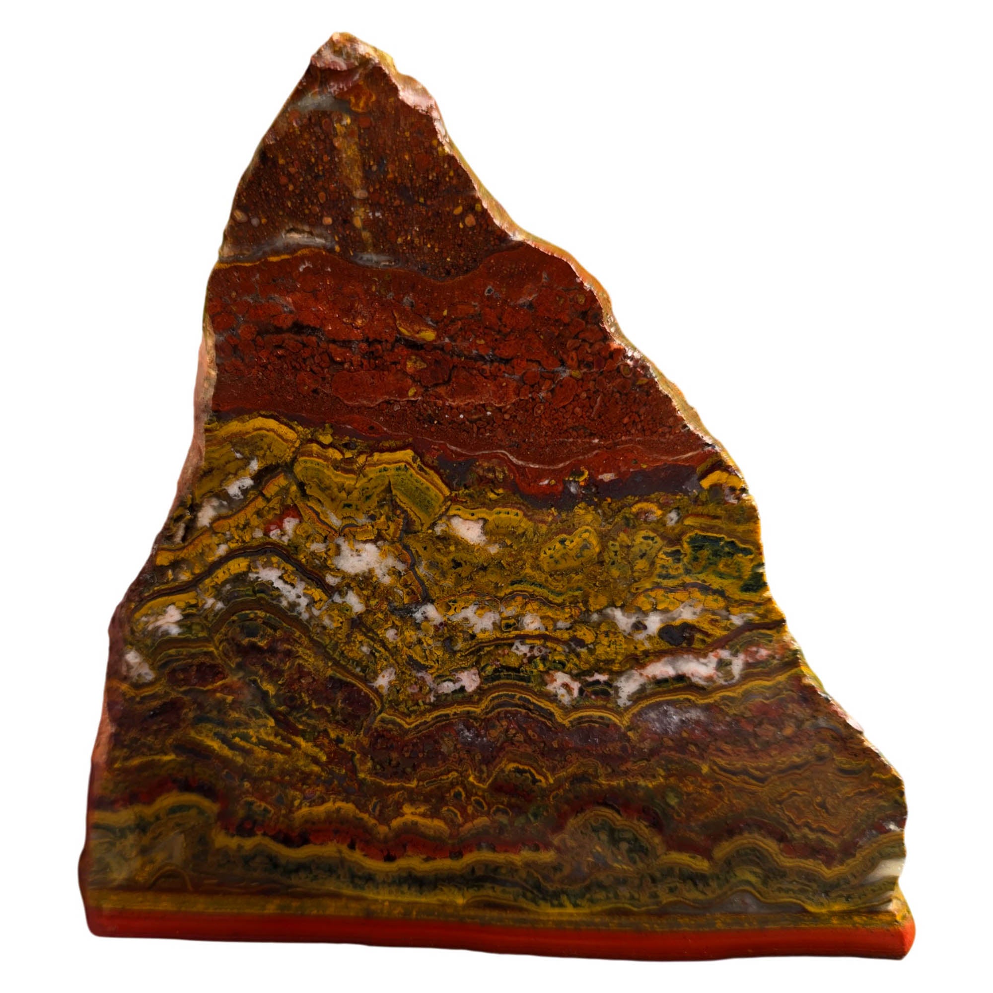 Apple Valley Jasper Slab - Wavy Stromatolites Hematite Flowers Sahara #3745-1