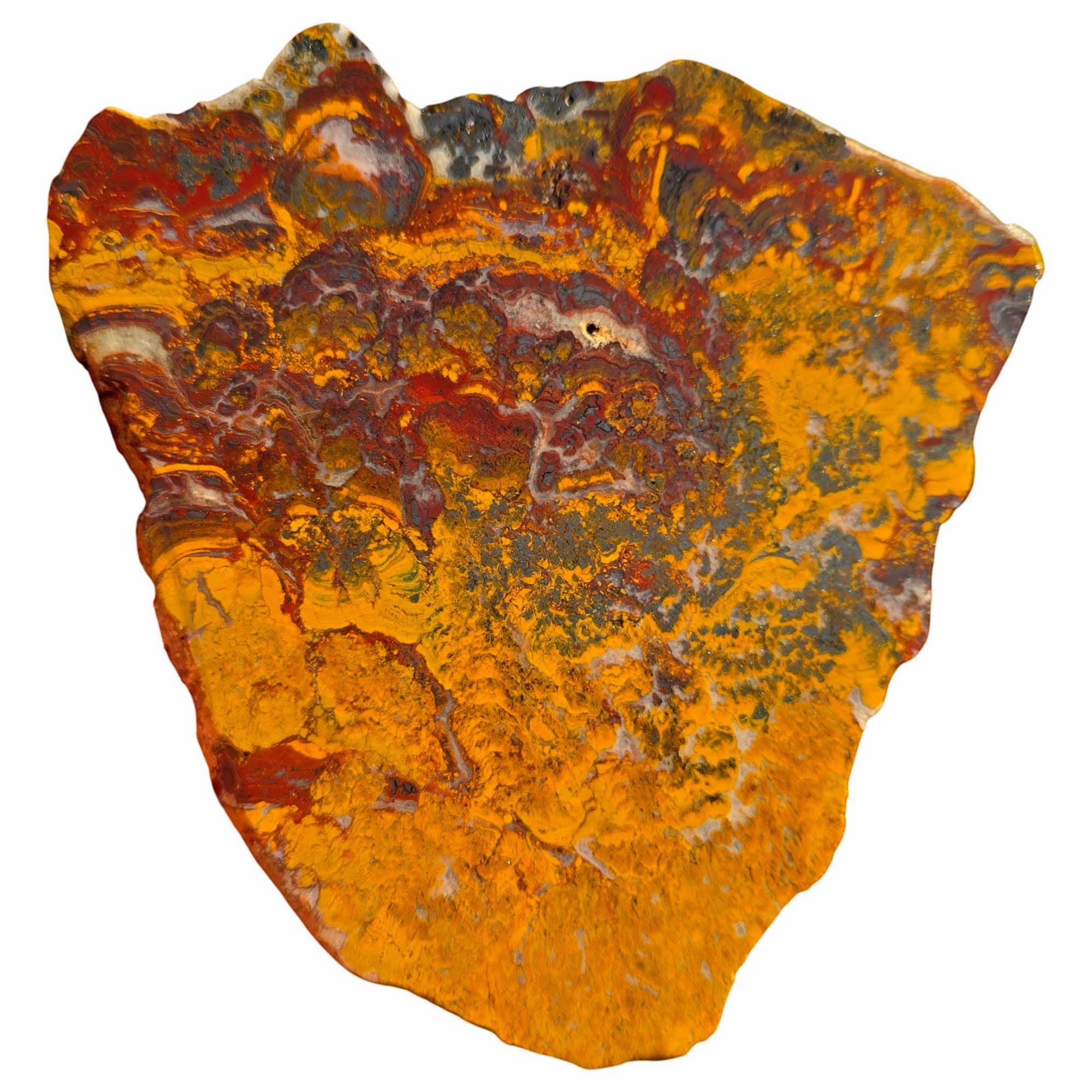 Apple Valley Jasper Slab - Wavy Brecciated Stromatolites Golden Hematite #3752-Photo1