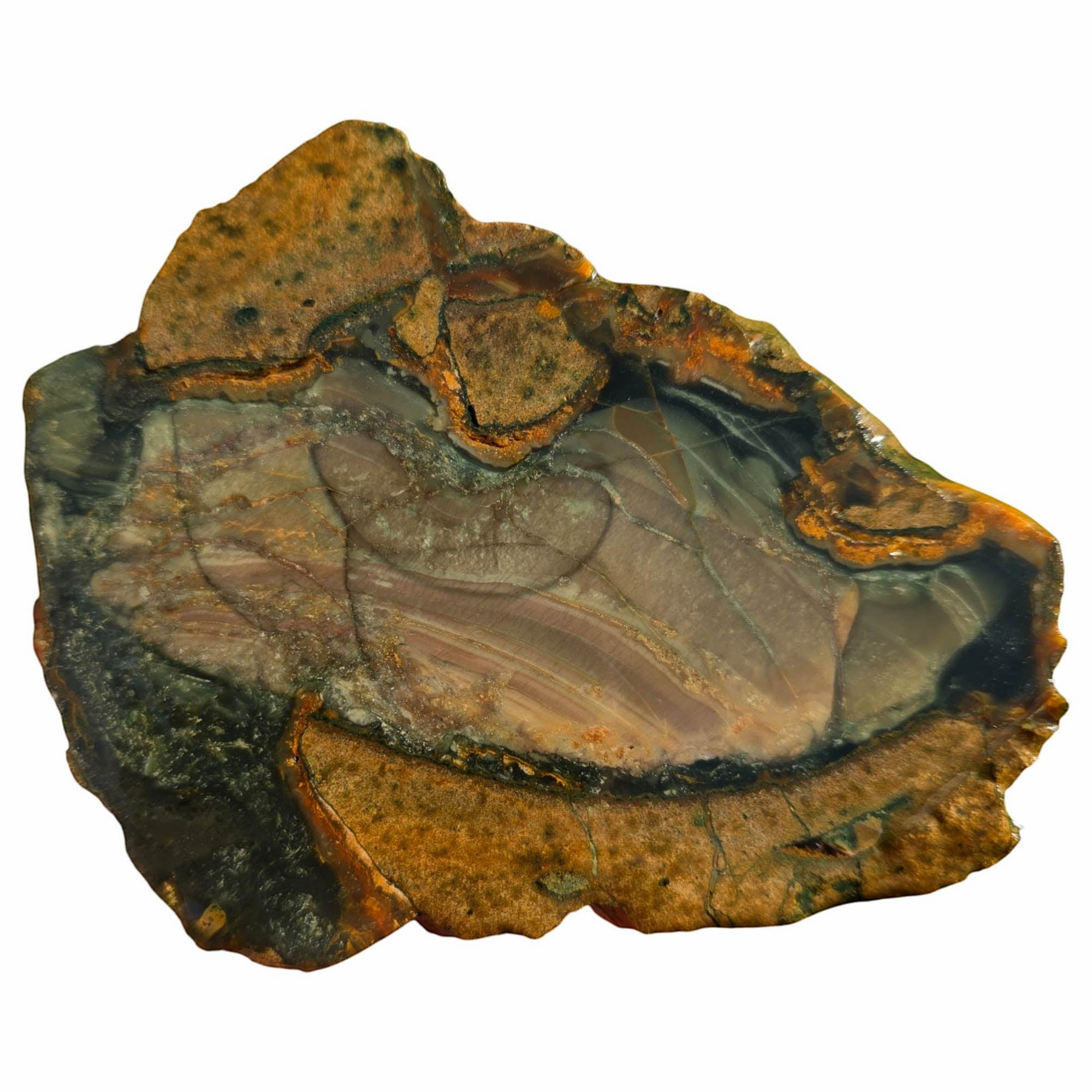 Blue Mountain Jasper Slab – Orbicular Pattern Practice Grade Mitchell! #3753-Photo1