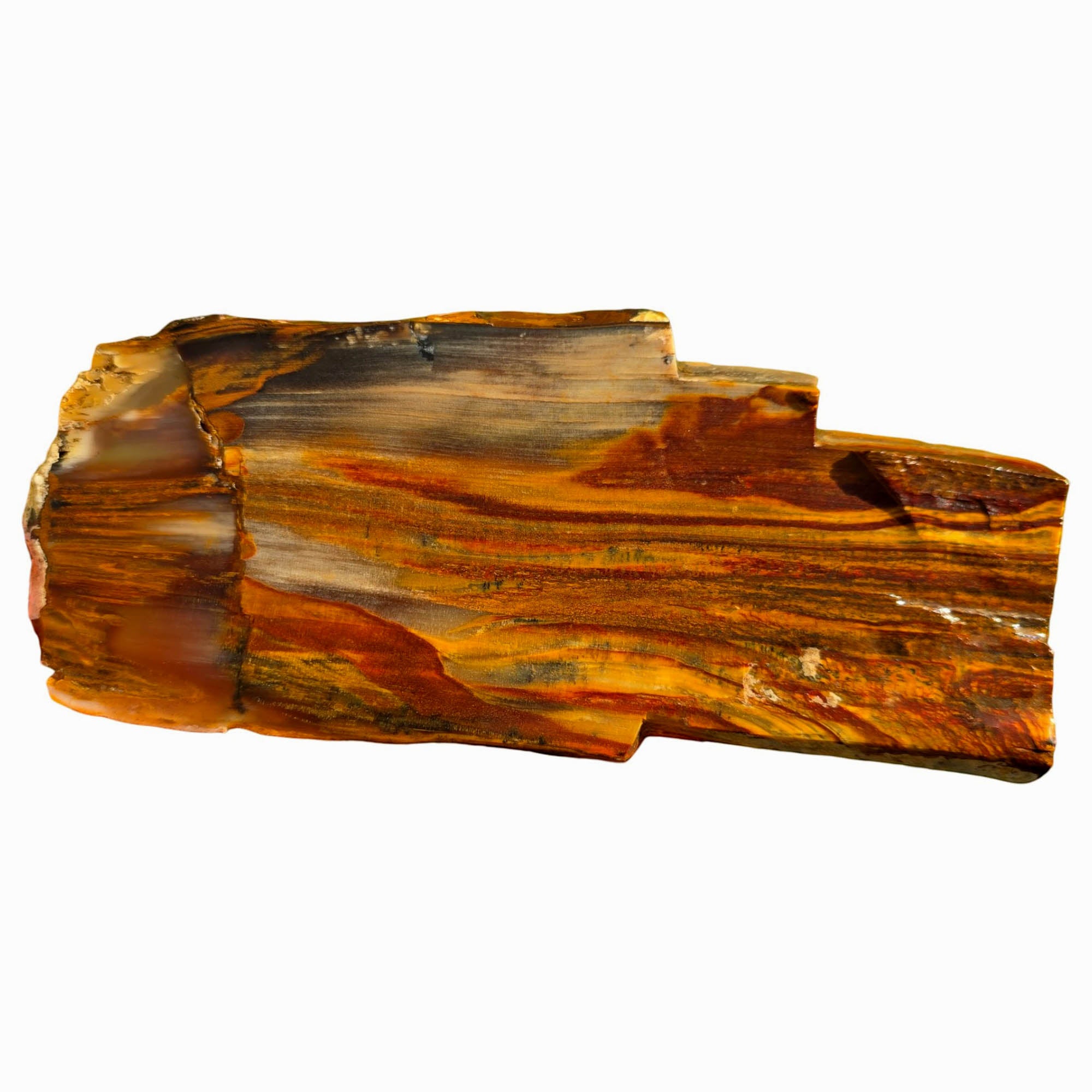 Mystery Petrified Wood Slab – Flame Rustic Pattern Oregon! #3754-Photo1