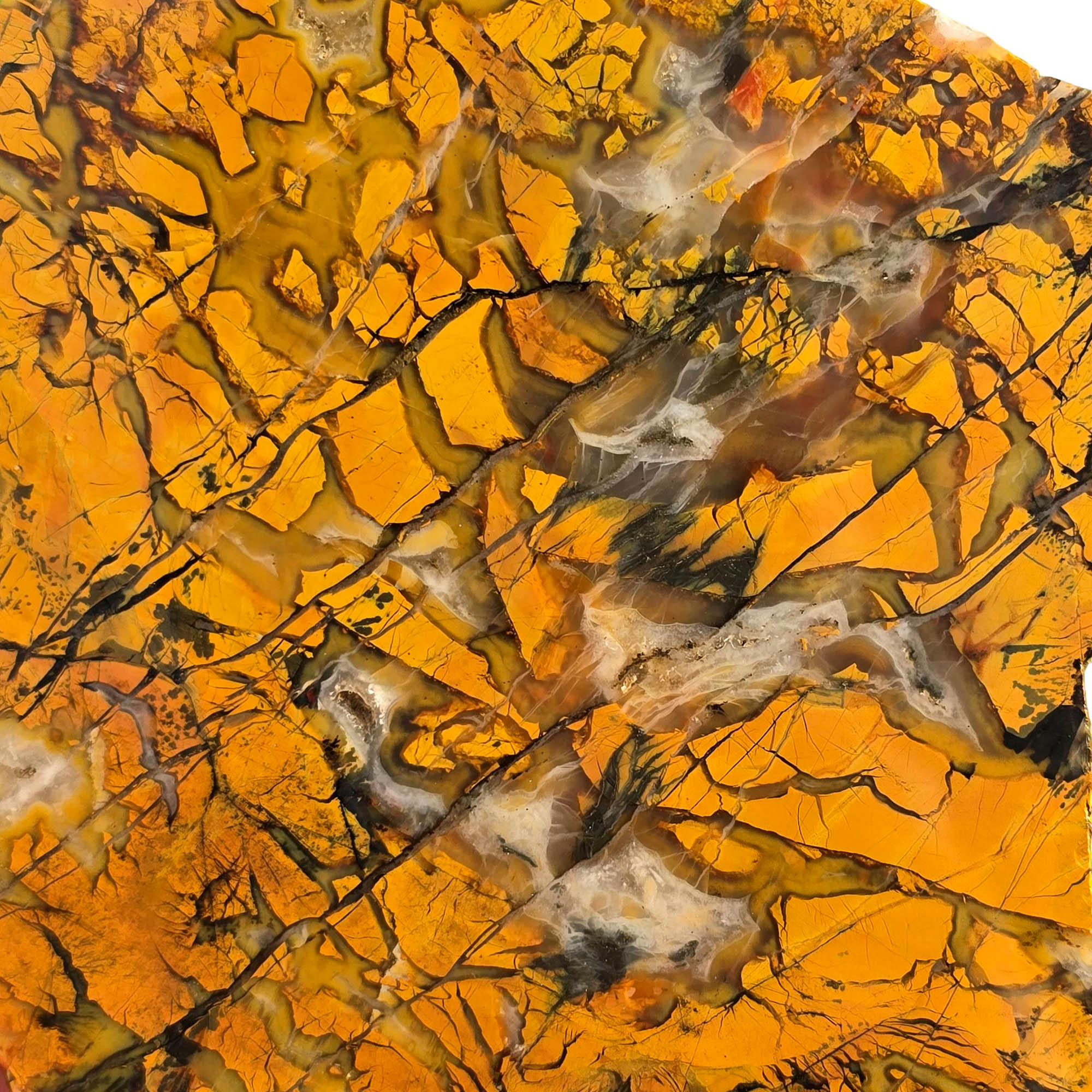 Stone Canyon Jasper Slab – Brecciated Agate Rivers Creamy Pattern #3758-Photo1