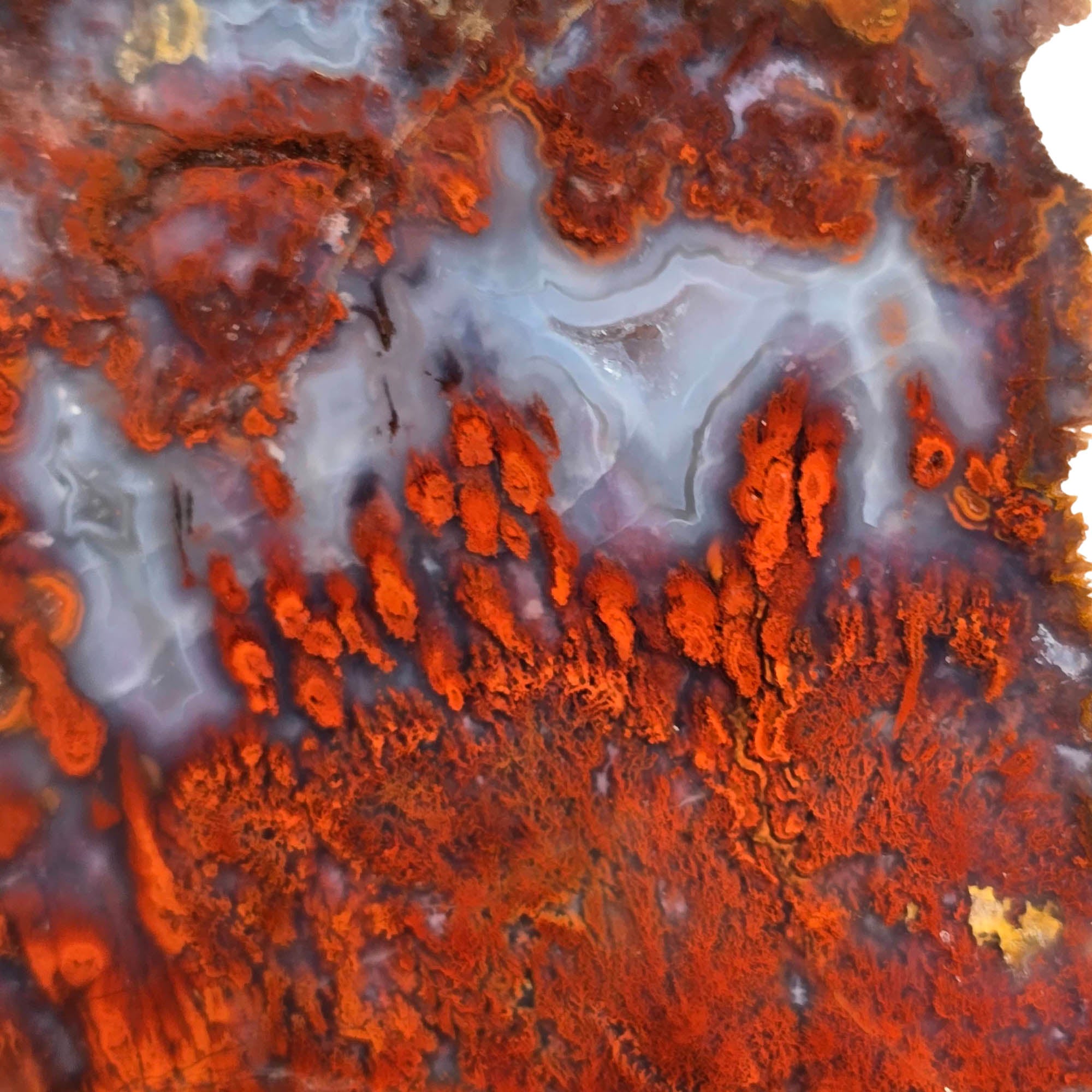 Red Lightning Agate Slab – Bright Red Moss High Contrast #3762-Photo2