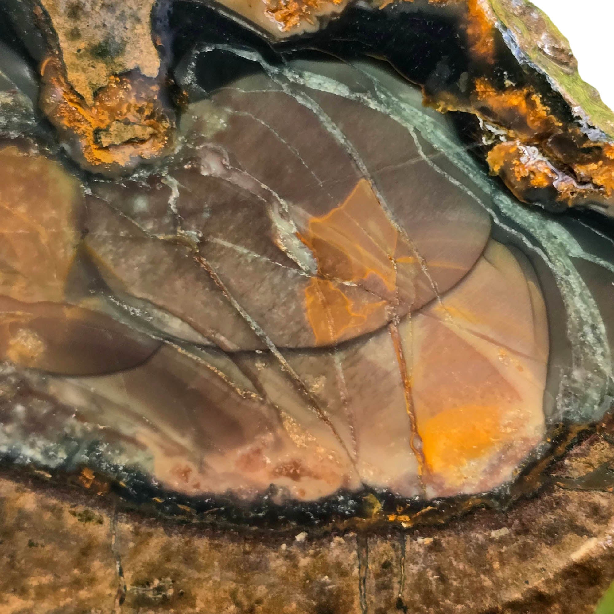 Blue Mountain Jasper Slab – Multiple Orbs Blue-Green Color Array #3765-Photo2