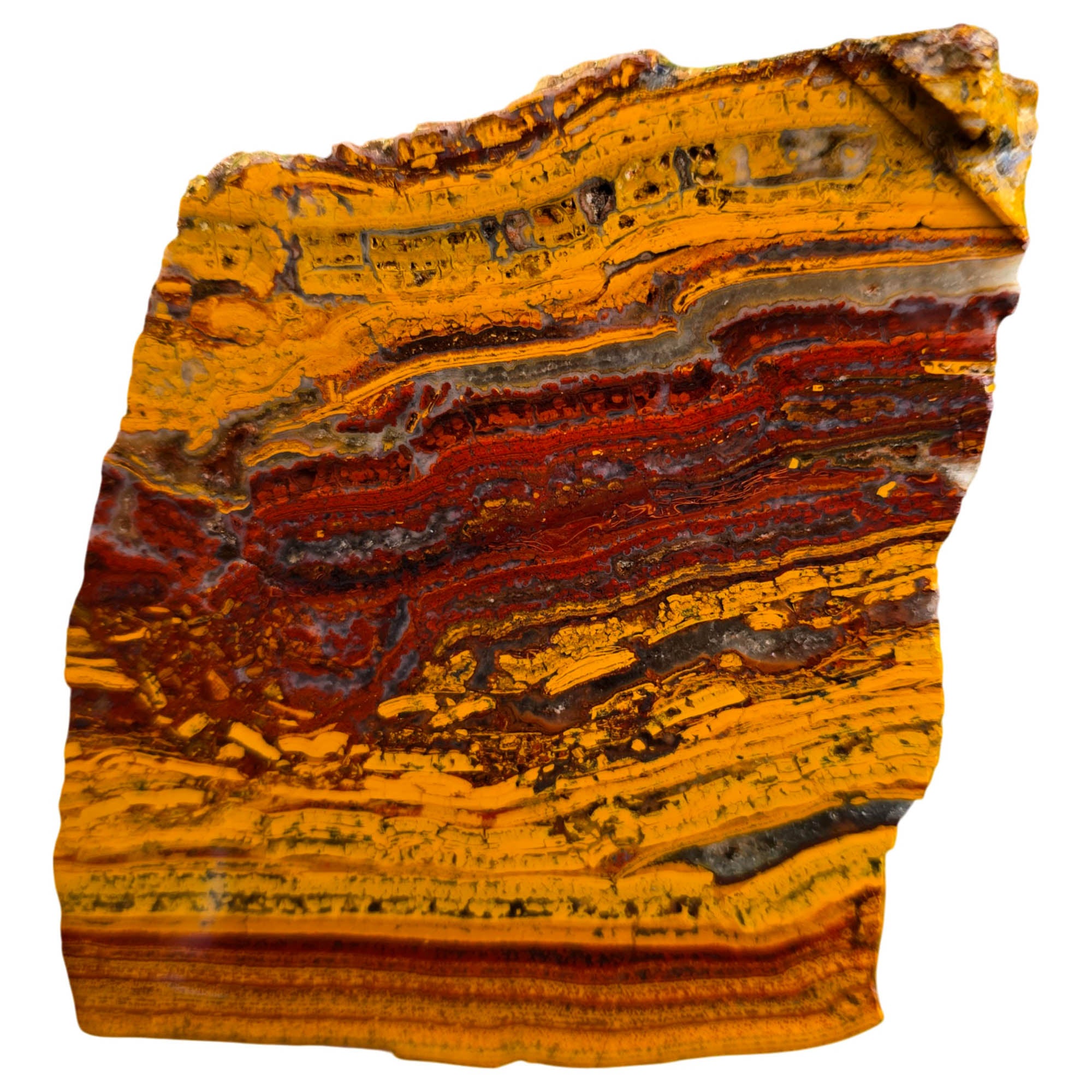 Apple Valley Jasper Slab – Gold Red Waves Fossil Stromatolite #3767-Photo1