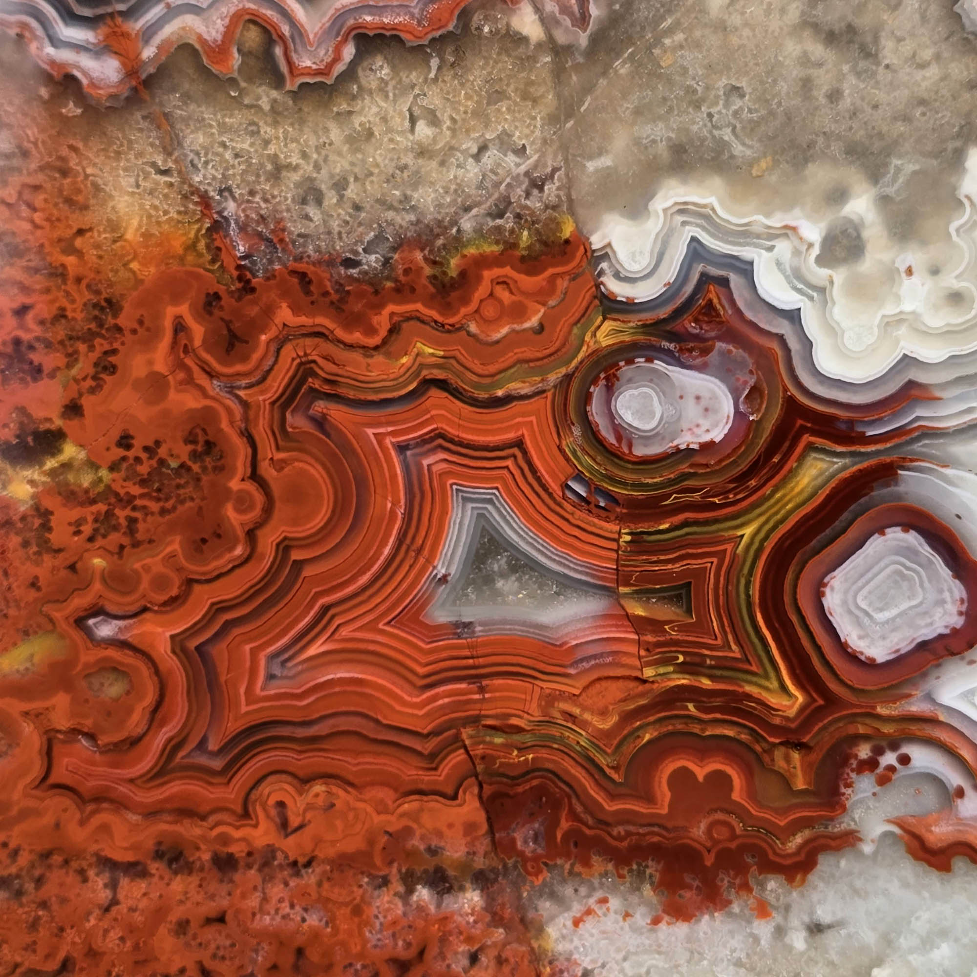Laguna Lace Agate Slab – Vibrant Red Swirling Lace Mexican #3768-Photo2