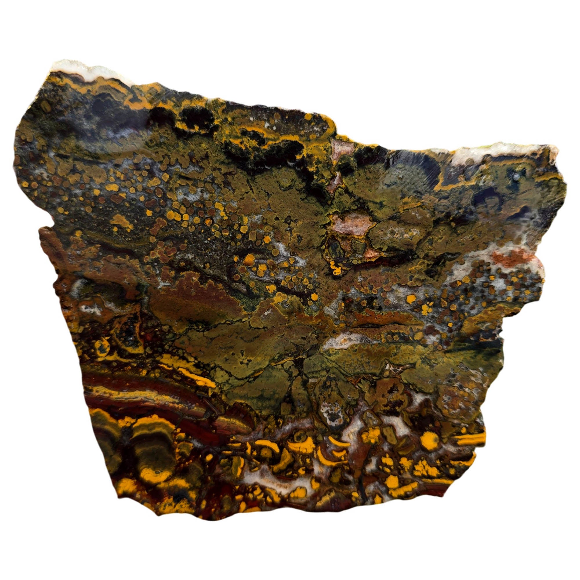 Apple Valley Jasper Slab – White Quartz Rivers Oolitic Fossil #3770-Photo1