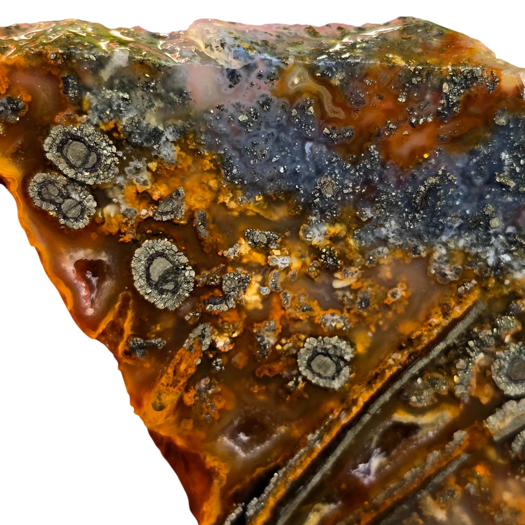 Nipomo Marcasite Slab – Iron Tubes Druzy Sparkle California #3771-Photo2