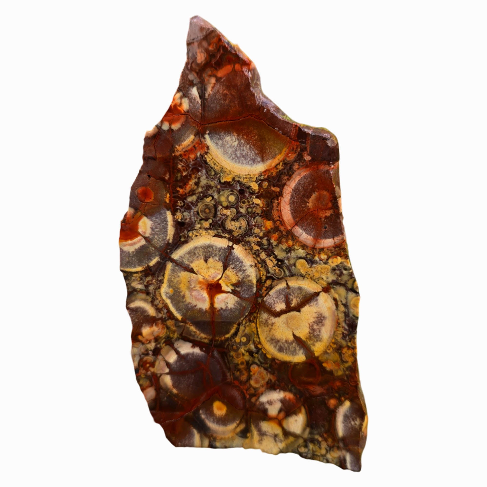 Birdseye Rhyolite Slab – Defined Orbs – Mexico Old Stock #3772-Photo1