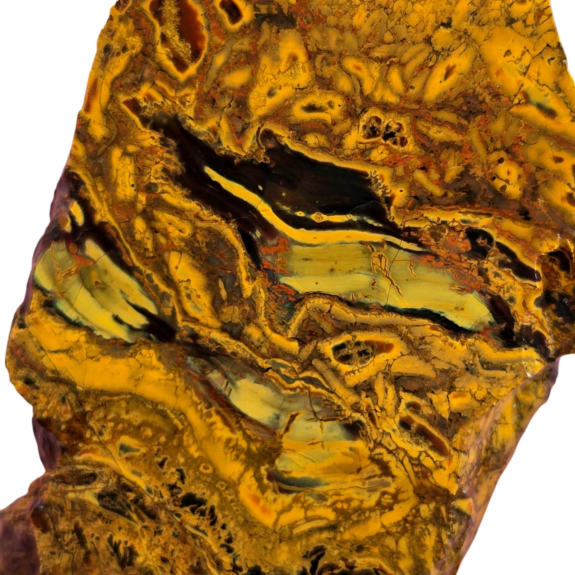 Kaleidoscope Jasper Slab – Organic Fossil Pattern Oregon Jurassic #3773-Photo1