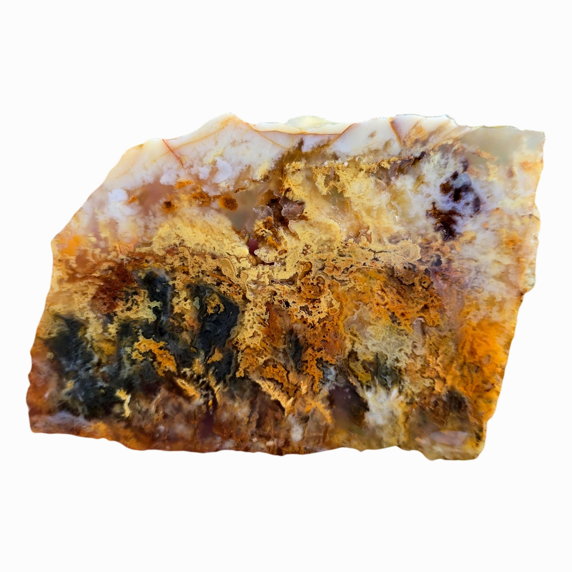 Regency Rose Plume Agate Slab – Hematite Red Smoky Fiery #3783-Photo1