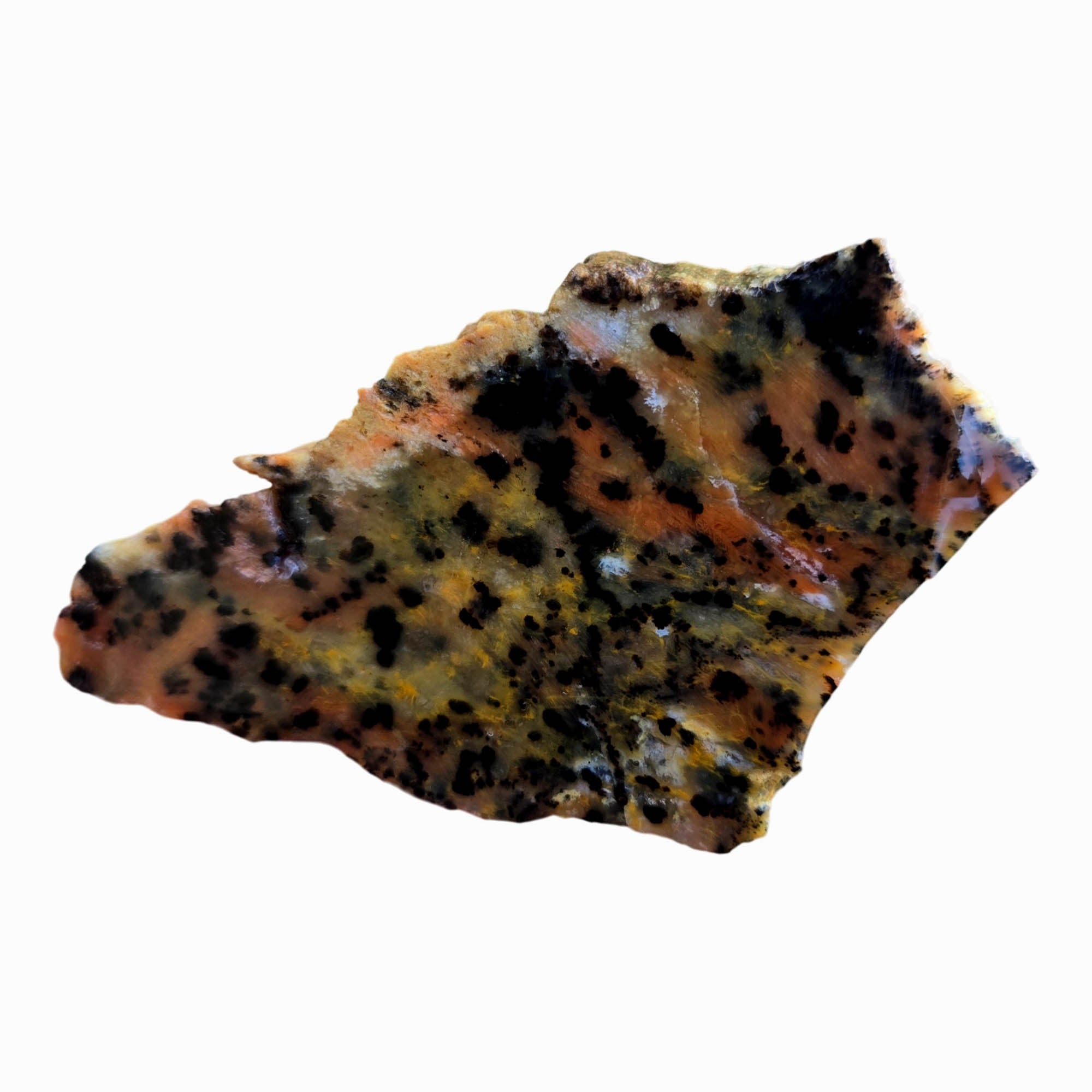 Cheetah Stone Slab – Classic Spotted Pattern Black Dots Brazil #3784-Photo1