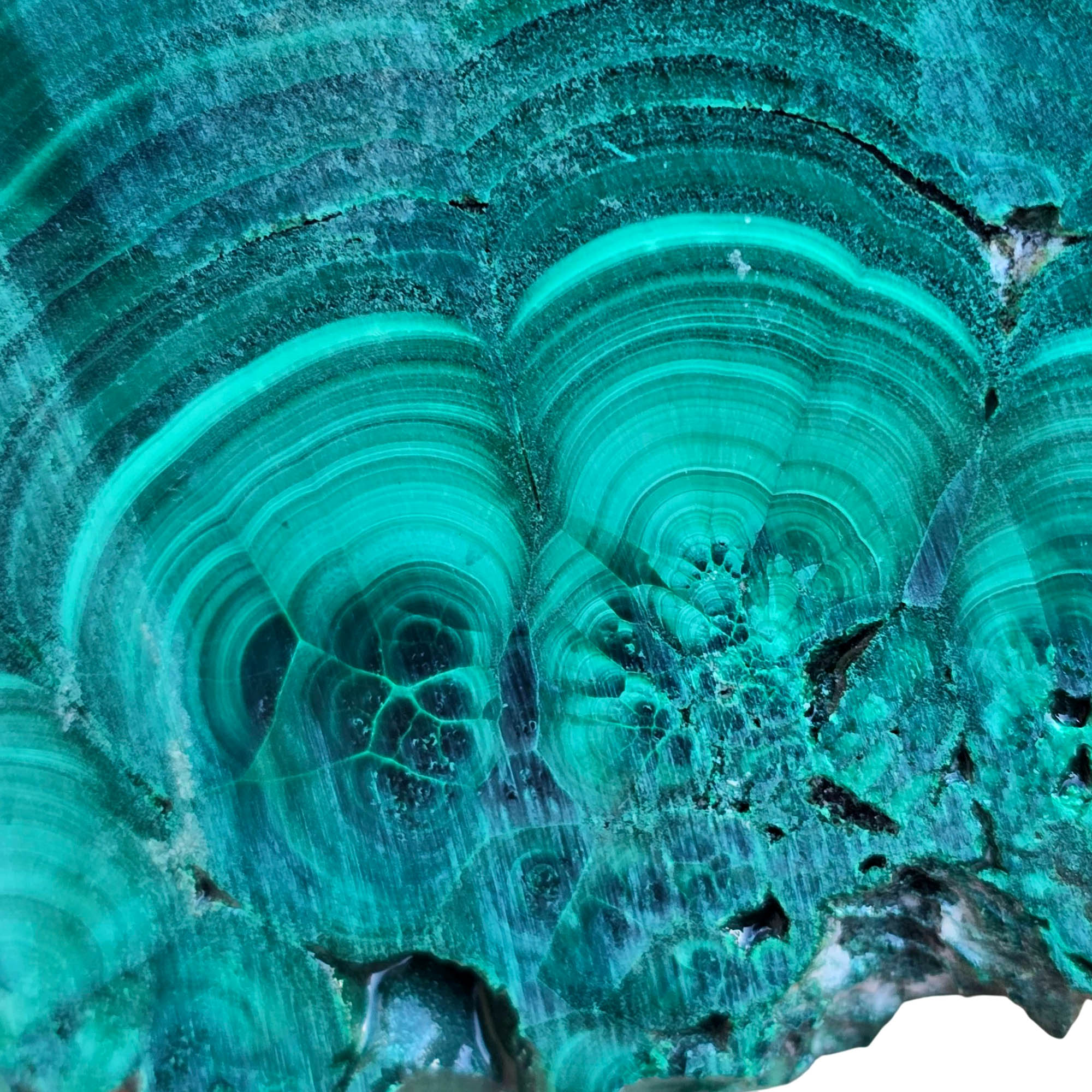 Malachite Slab – Bright Green Chatoyant Lace Patterns Copper Mineral #3787-Photo1