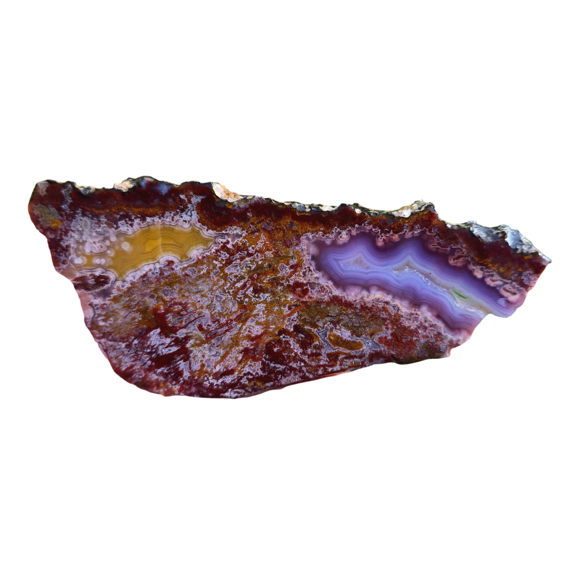 Agua Nueva Agate Slab - Purple Fortification Druzy Gold Accent #3795-Photo2