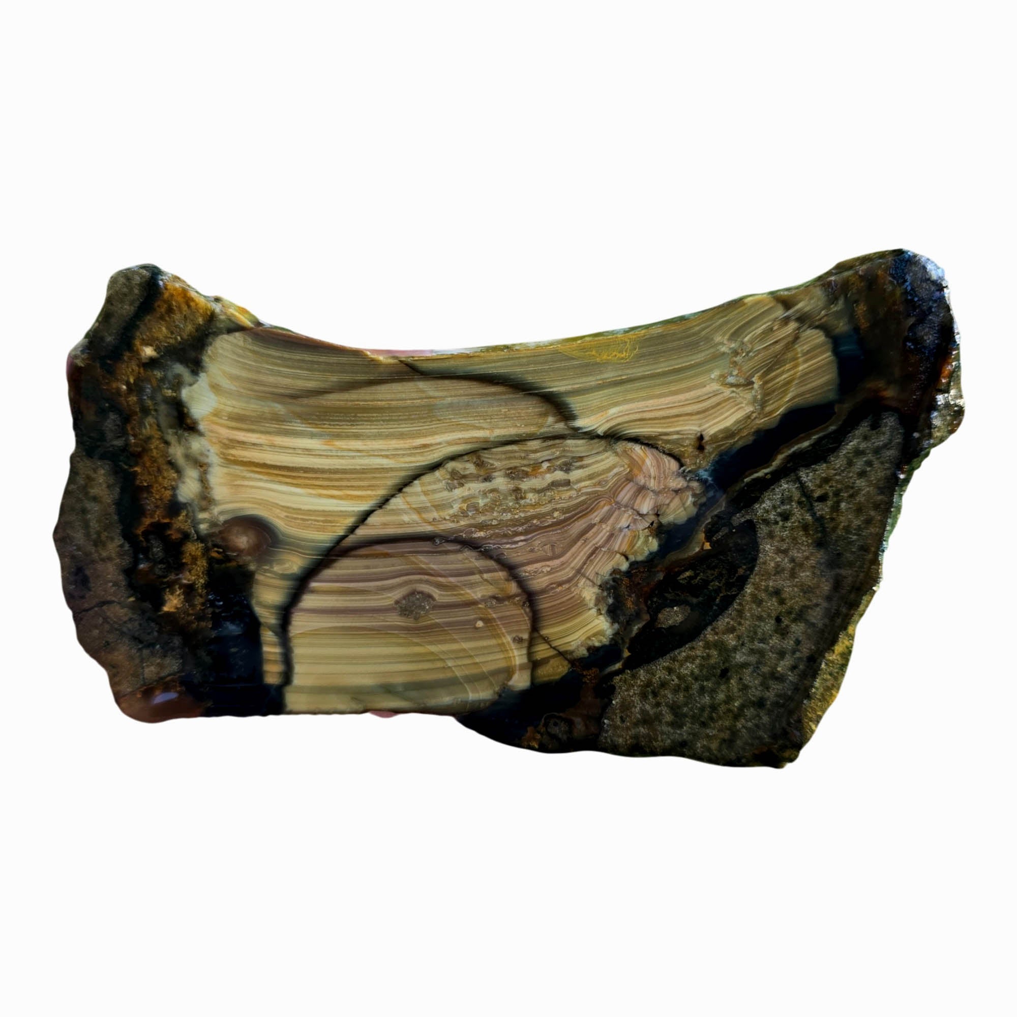 Blue Mountain Jasper Slab - Stacked Orbs Paintbrush Pattern #3800-Photo2