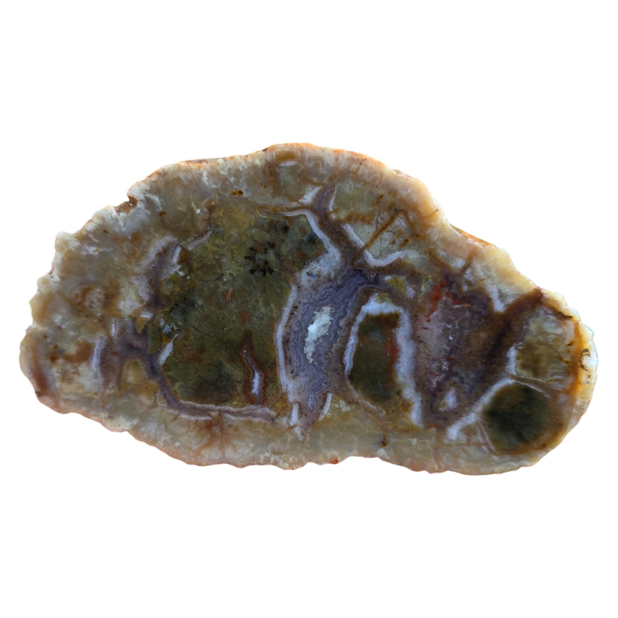 Green Coprolite Fossil Slab with Agate Rivers Prehistoric #3803-1
