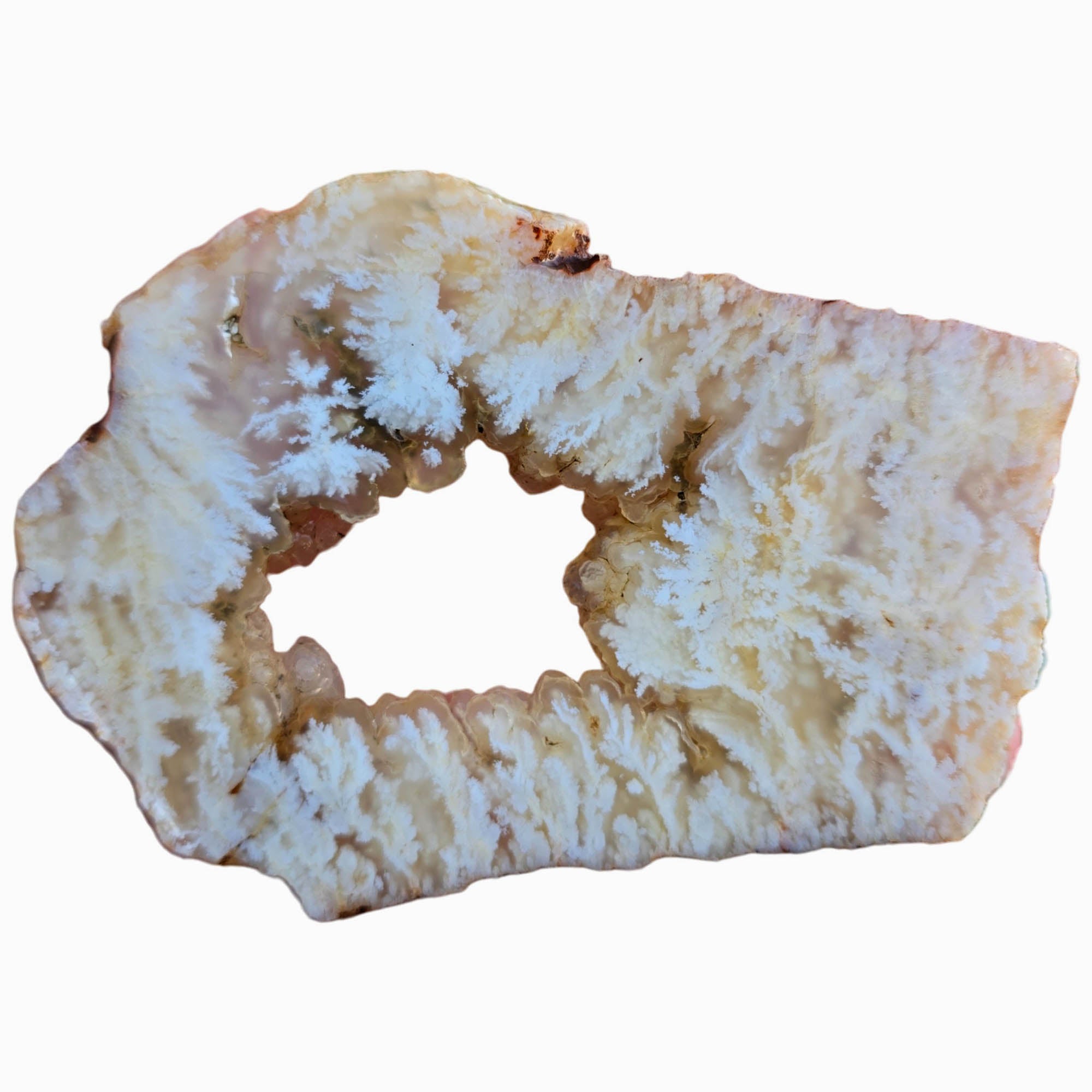 Stinking Water Plume Agate Slab – Botryoidal Center White Plumes #3804-Photo1