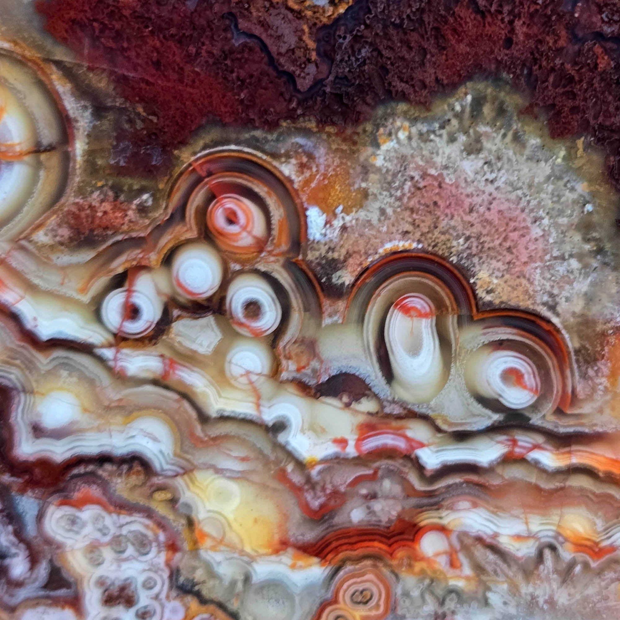 Crazy Lace Agate Slab – Multicolor Tubelike Orange Red White #3807-Photo1