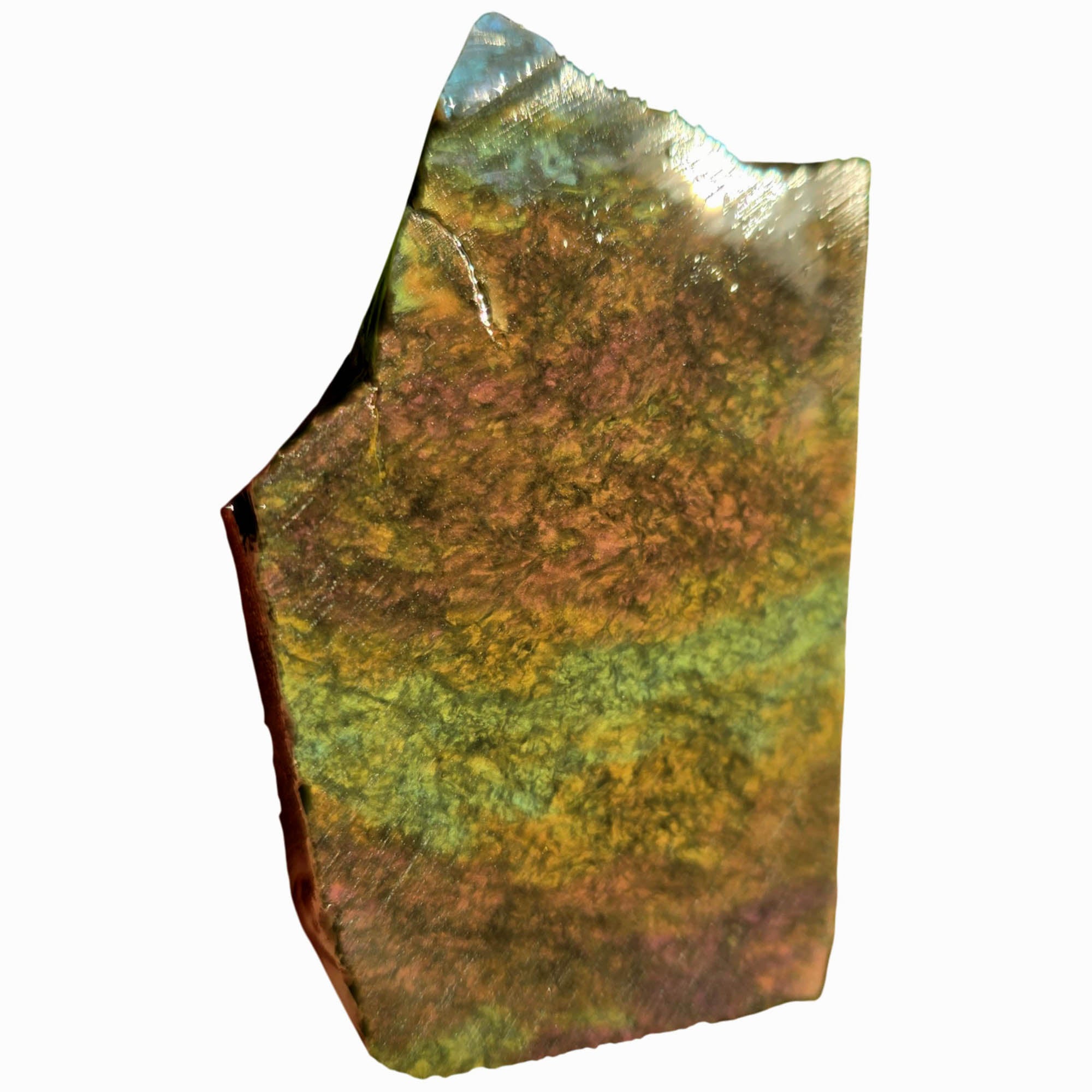 Mexican Velvet Obsidian Slab - Multicolor Banding Green Gold Purple Flash #3814-Photo1