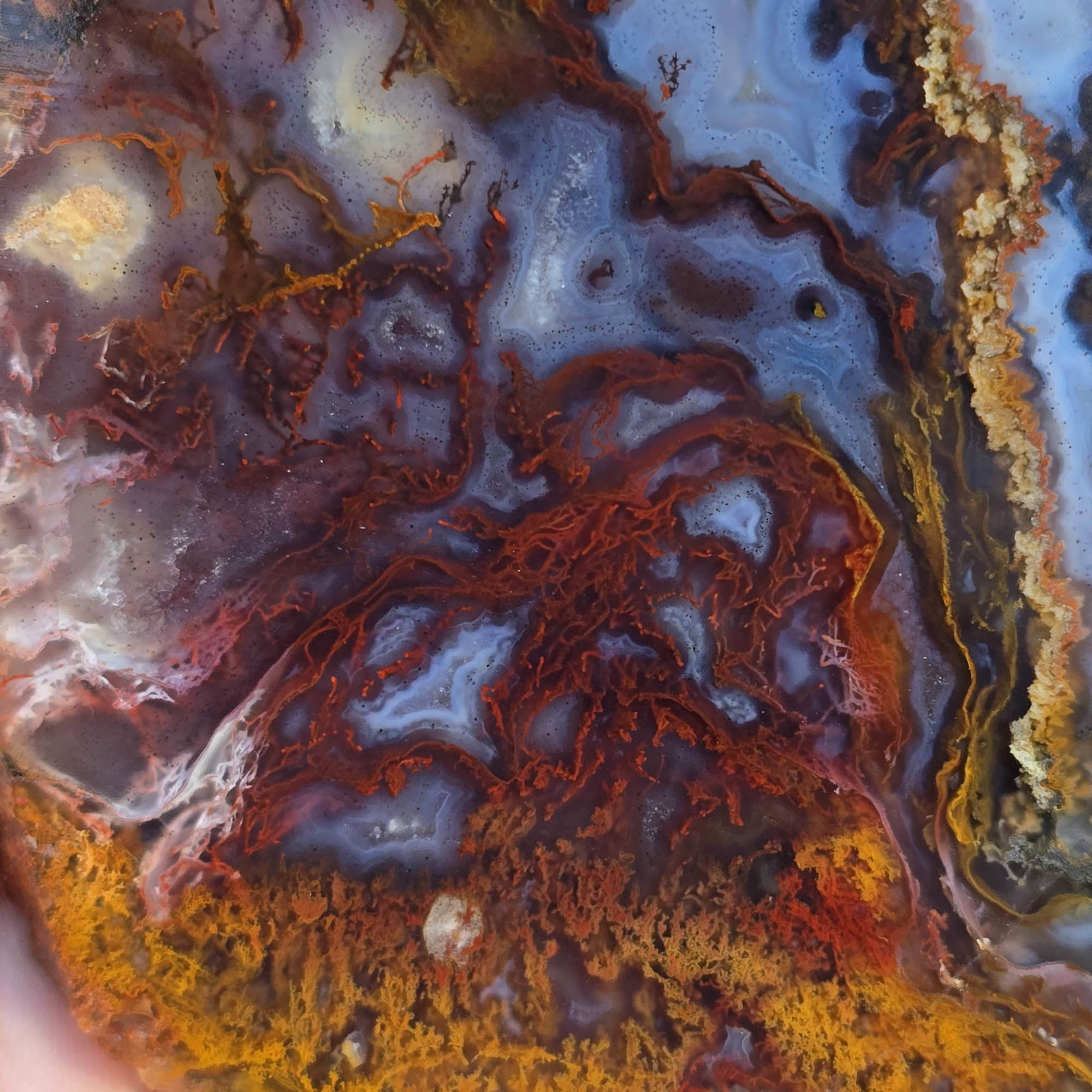 San Carlos Agate Slab – Well-Defined Moss Quartz Druzy Blue Banding #3815-Photo1