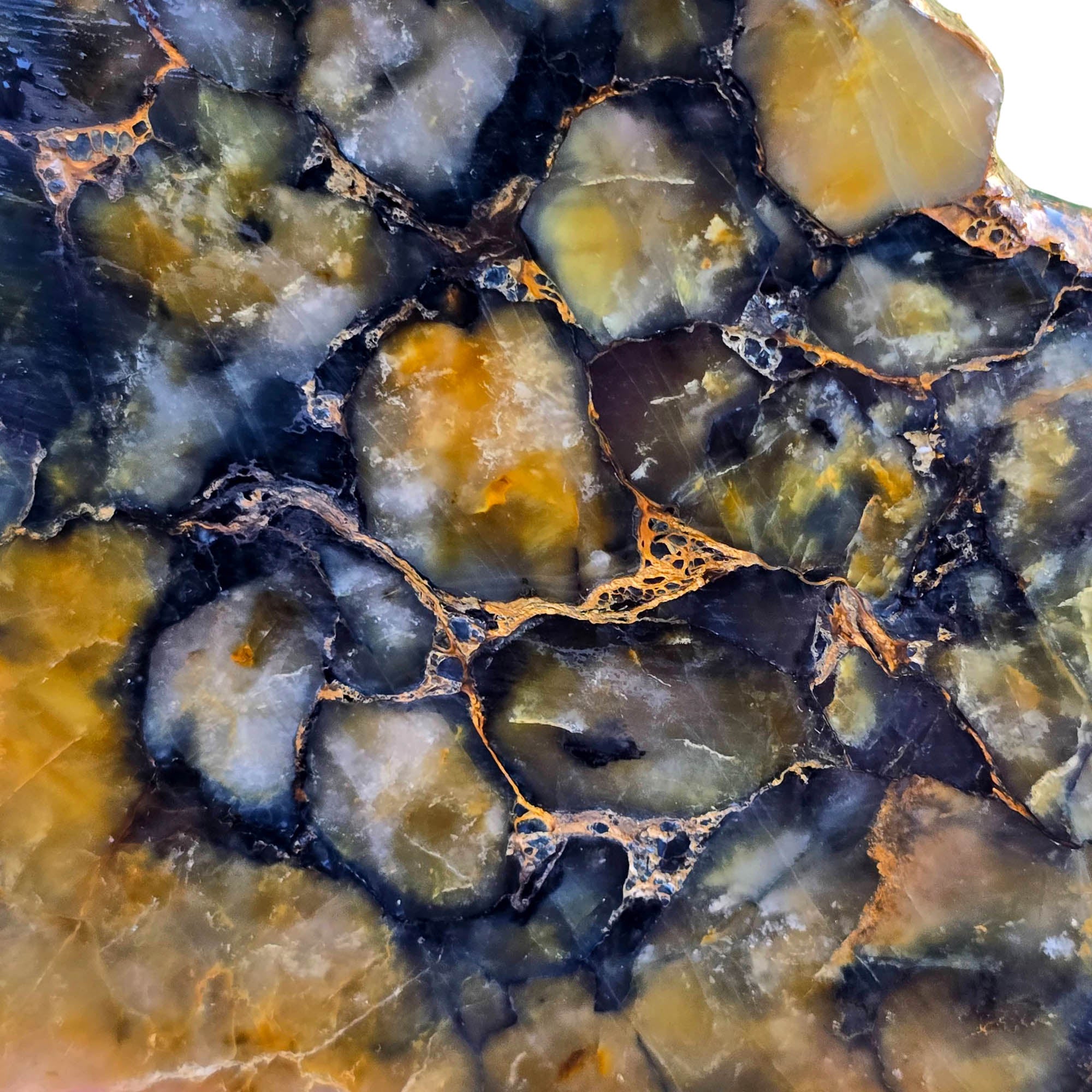 Nellite Slab – Golden Scales Blue Outline African Material #3819-Photo2