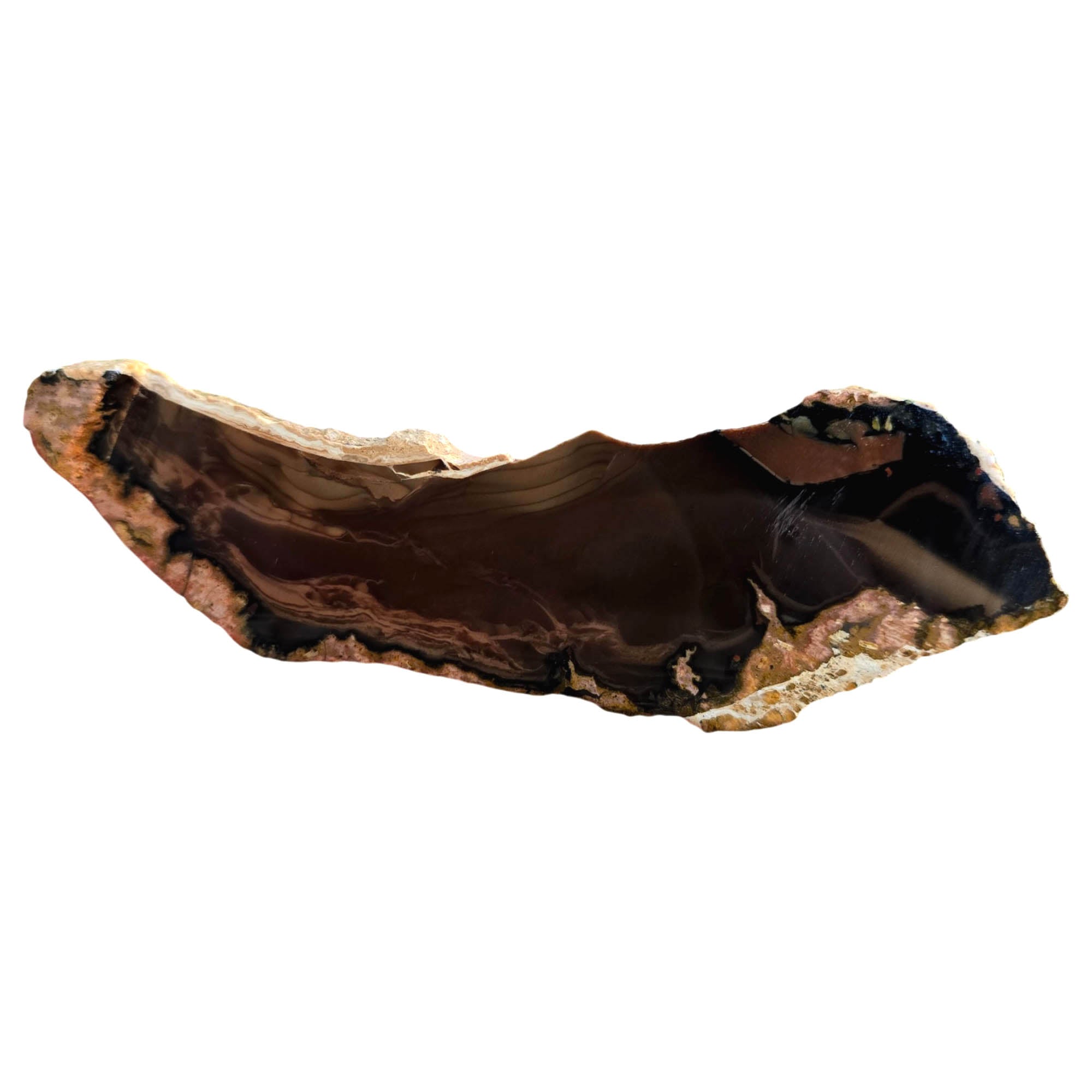 Whiskey Creek Jasper Slab – Orbicular Brecciated Deep Brown Pattern #3825-1