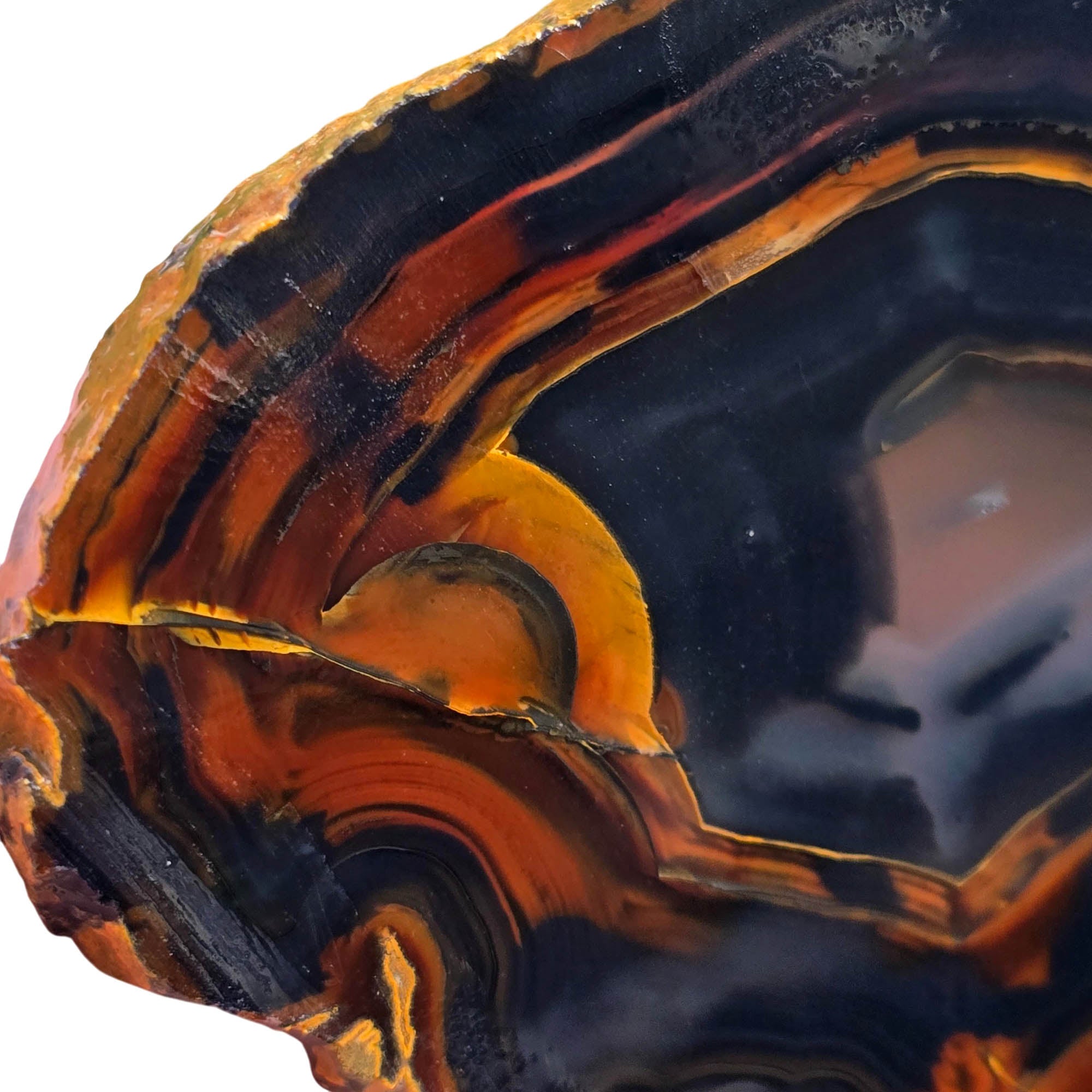 Brazilian Piranha Agate Slab – Black Orange Red Banding Display #3832-Photo2