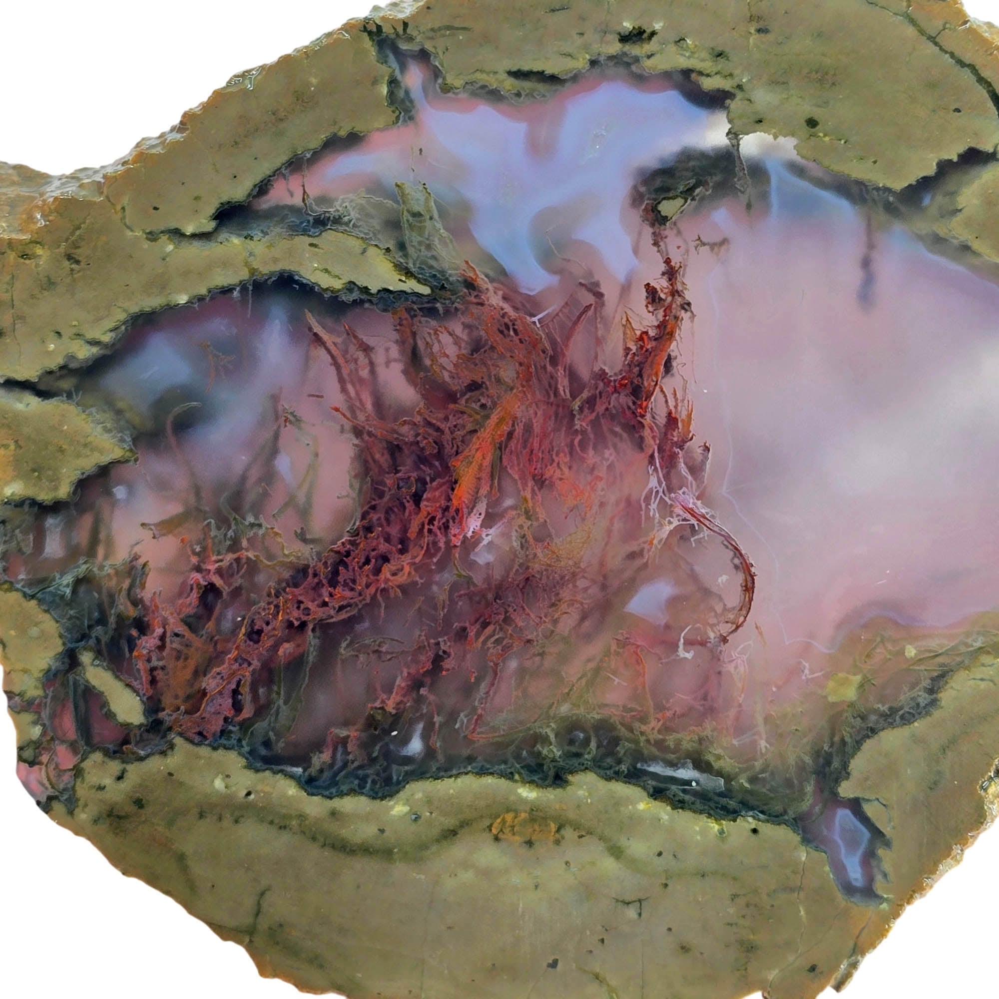 Priday Moss Bed Thunderegg Slab – Red Streamer Moss Clear Agate #3836-Photo1