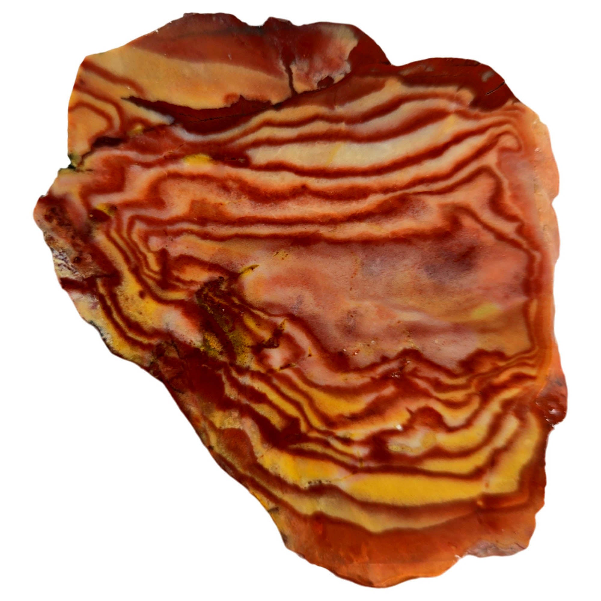 Wonderstone Slab – Bullseye Red Currents Liesegang Banding Nevada #3840-Photo1