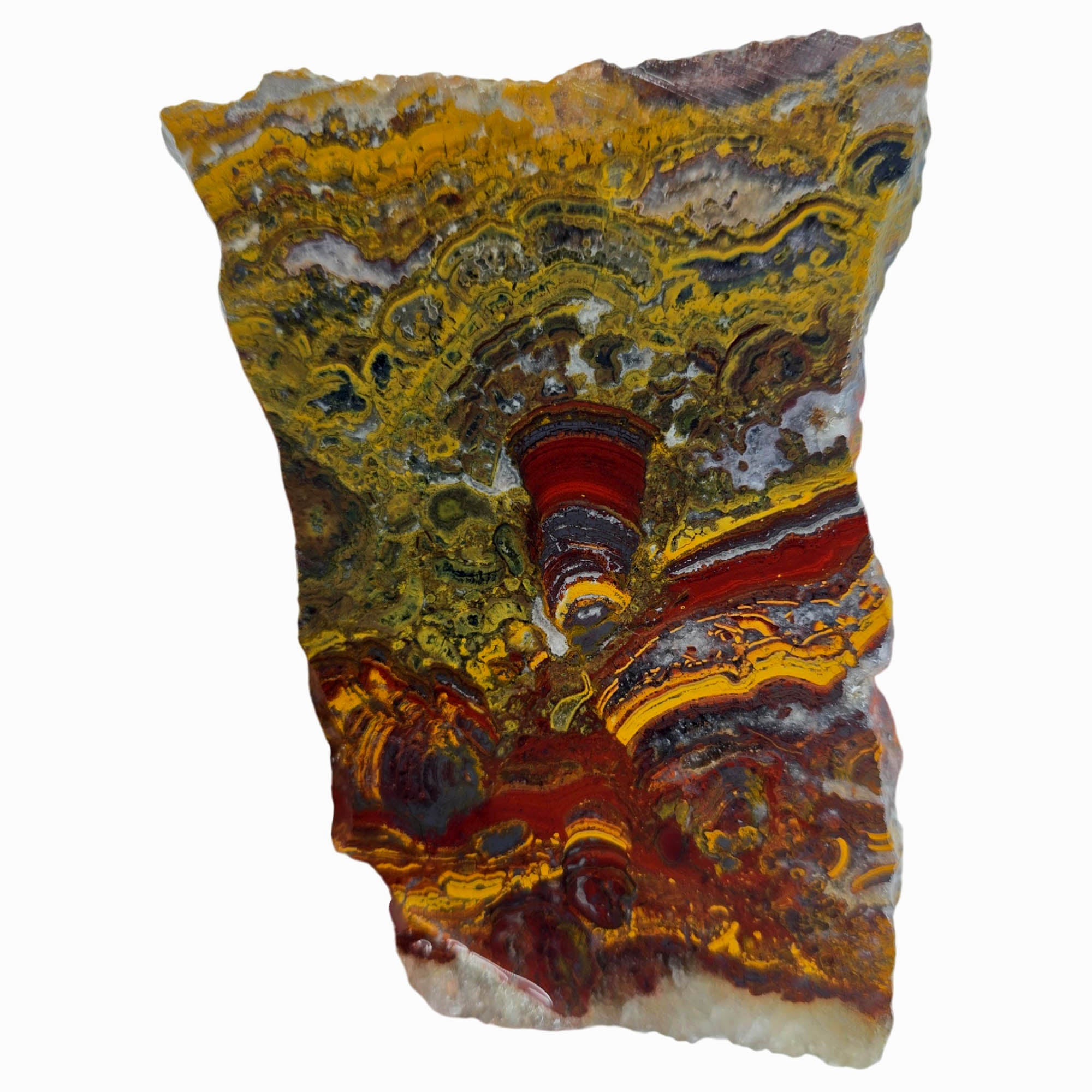 Apple Valley Jasper Slab - Hematite Flowering Bright Red Stromatolites #3842-Photo1
