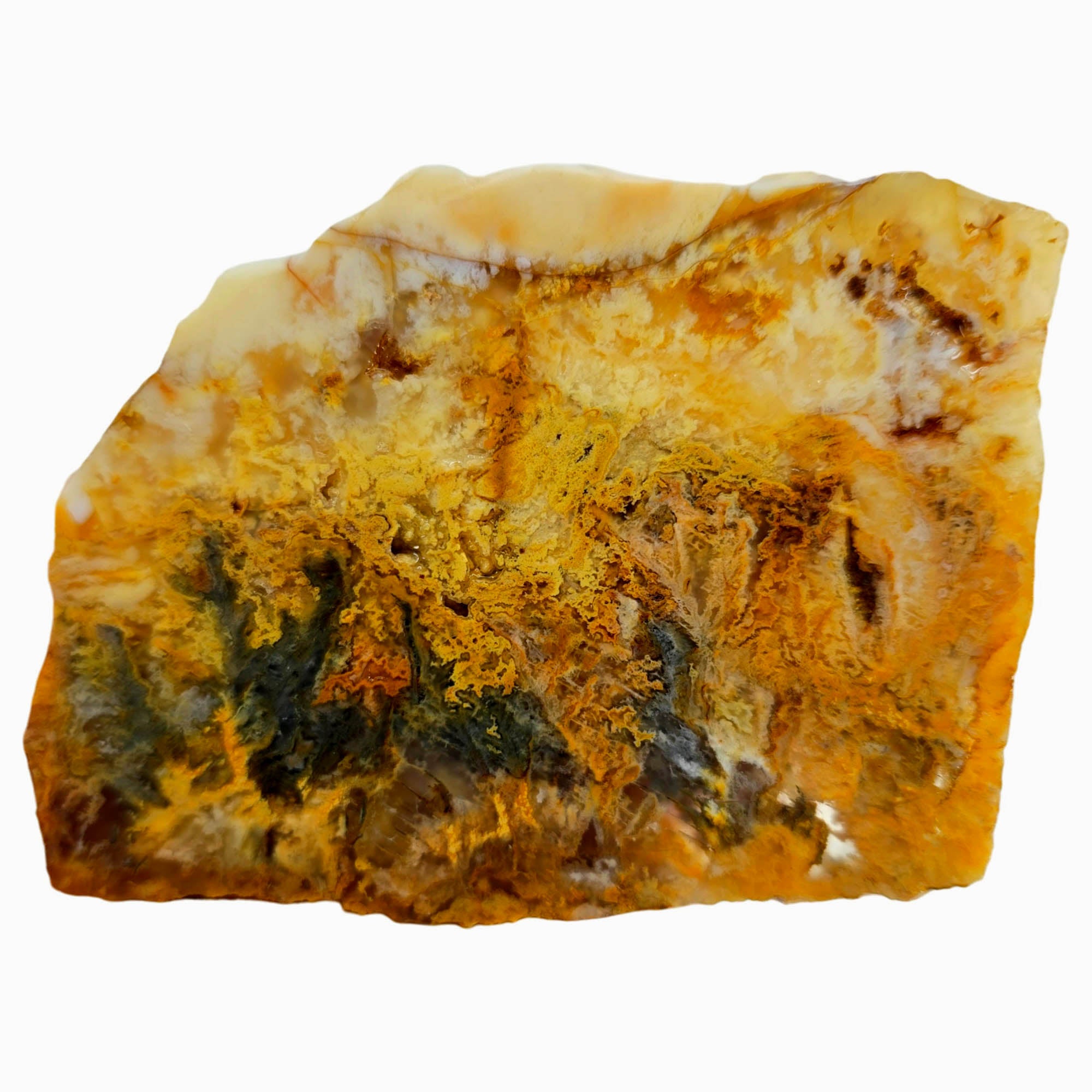 Regency Rose Plume Agate Slab – Hematite Marcasite Plume Detail #3843-Photo1