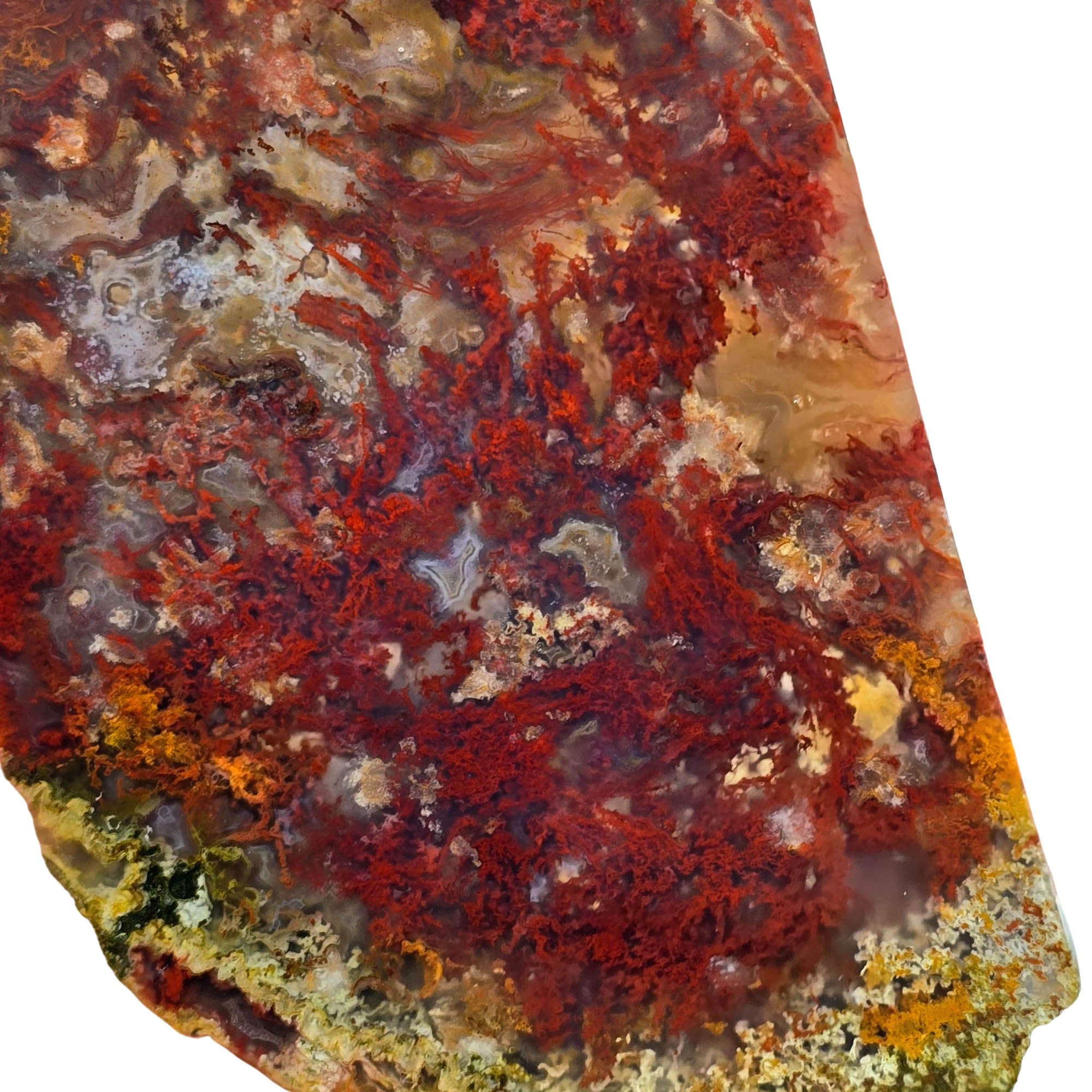 Powell Butte Plume Agate Slab – Bright Red Moss Streamer #3847-Photo1