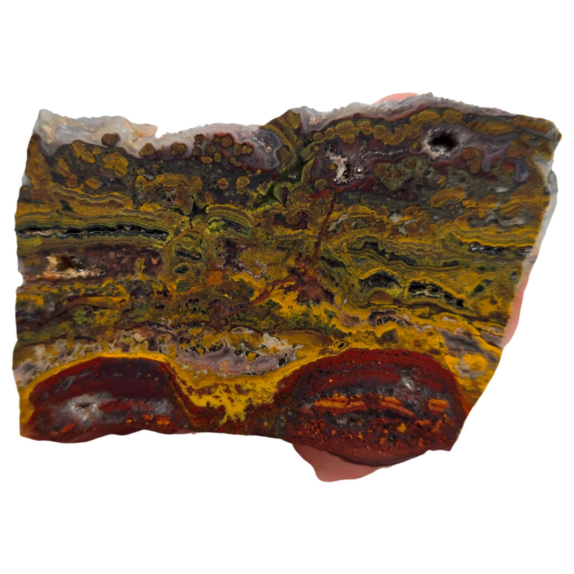 Apple Valley Jasper Slab – Stromatolites Red Hematite Drusy Sparkle #3856-Photo1