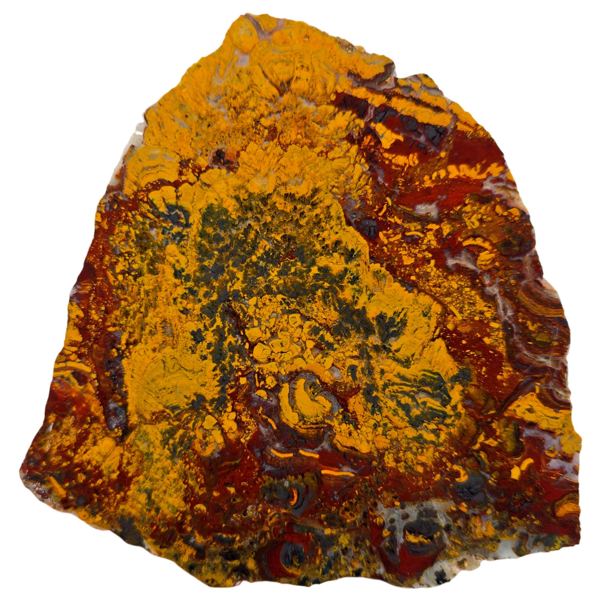 Apple Valley Jasper Slab – Hematite Flowers Golden Splashes Red Rivers #3857-Photo1