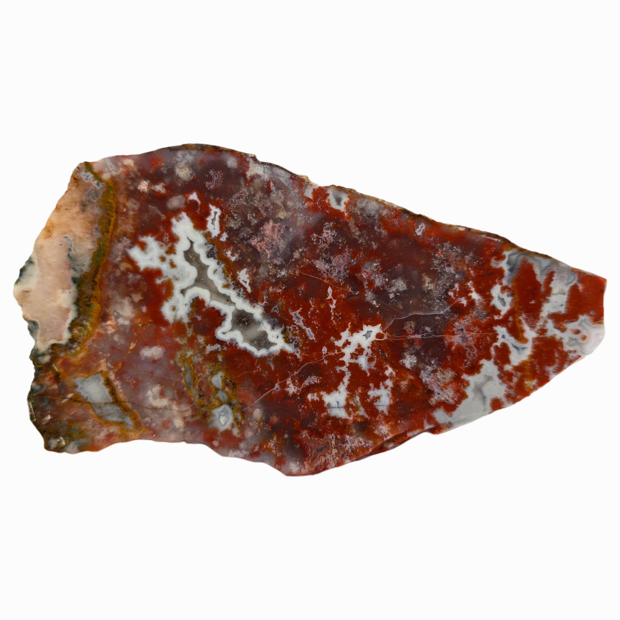 Apple Valley Agate Slab – Moss Sea White Fortification Sahara #3862-Photo1